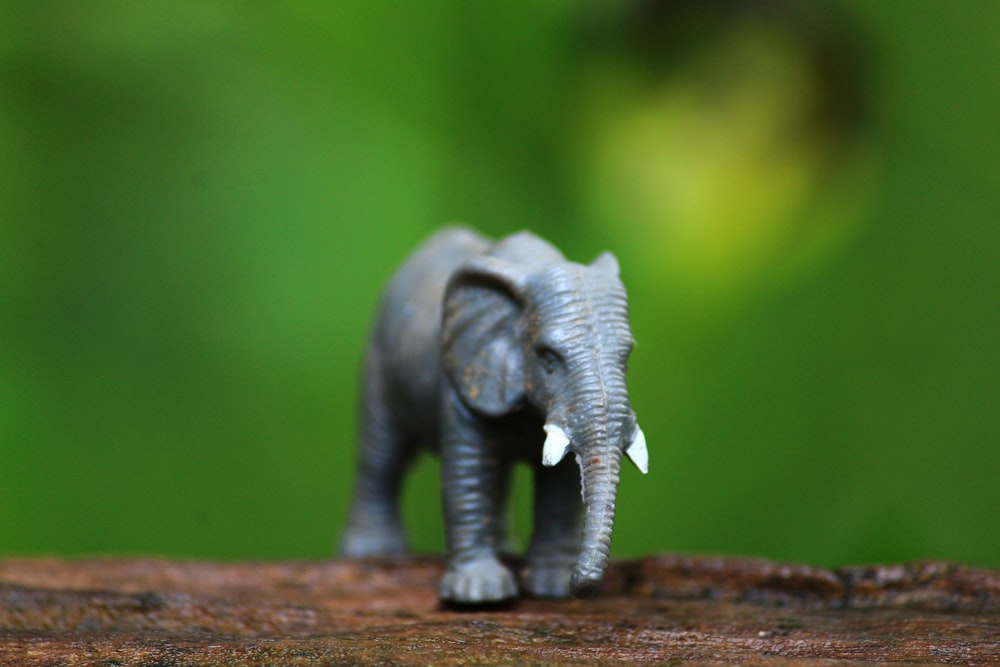 grey elephant figurine on brown wooden surface
