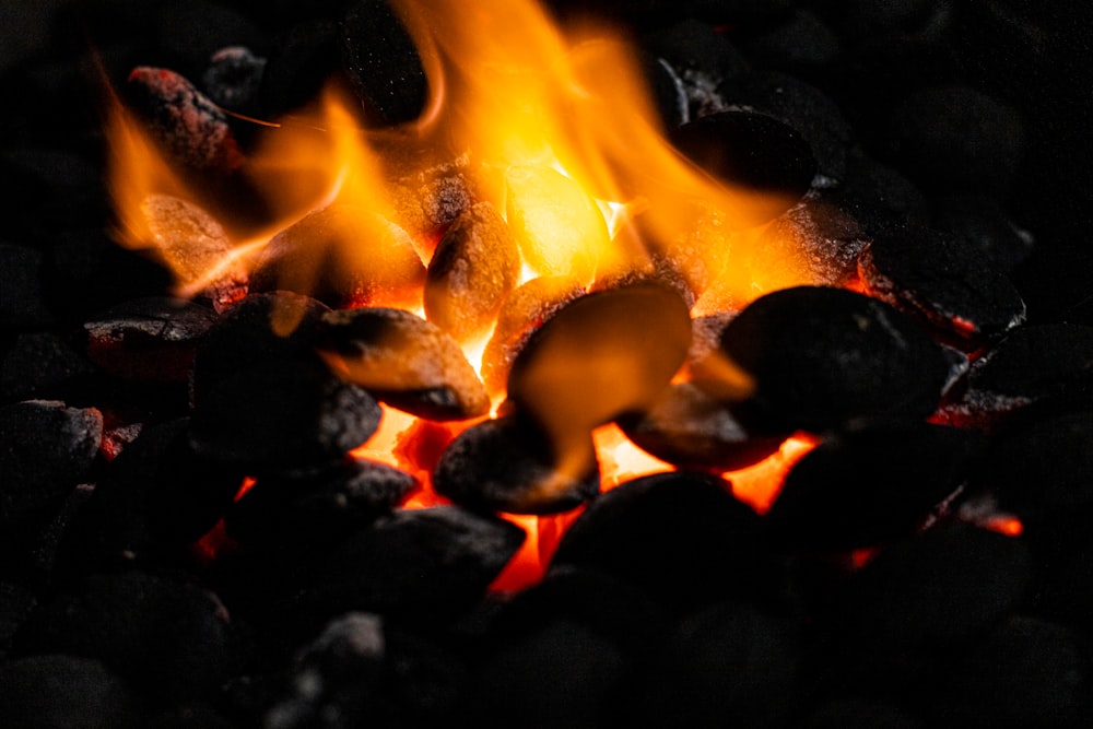 burning fire in black background