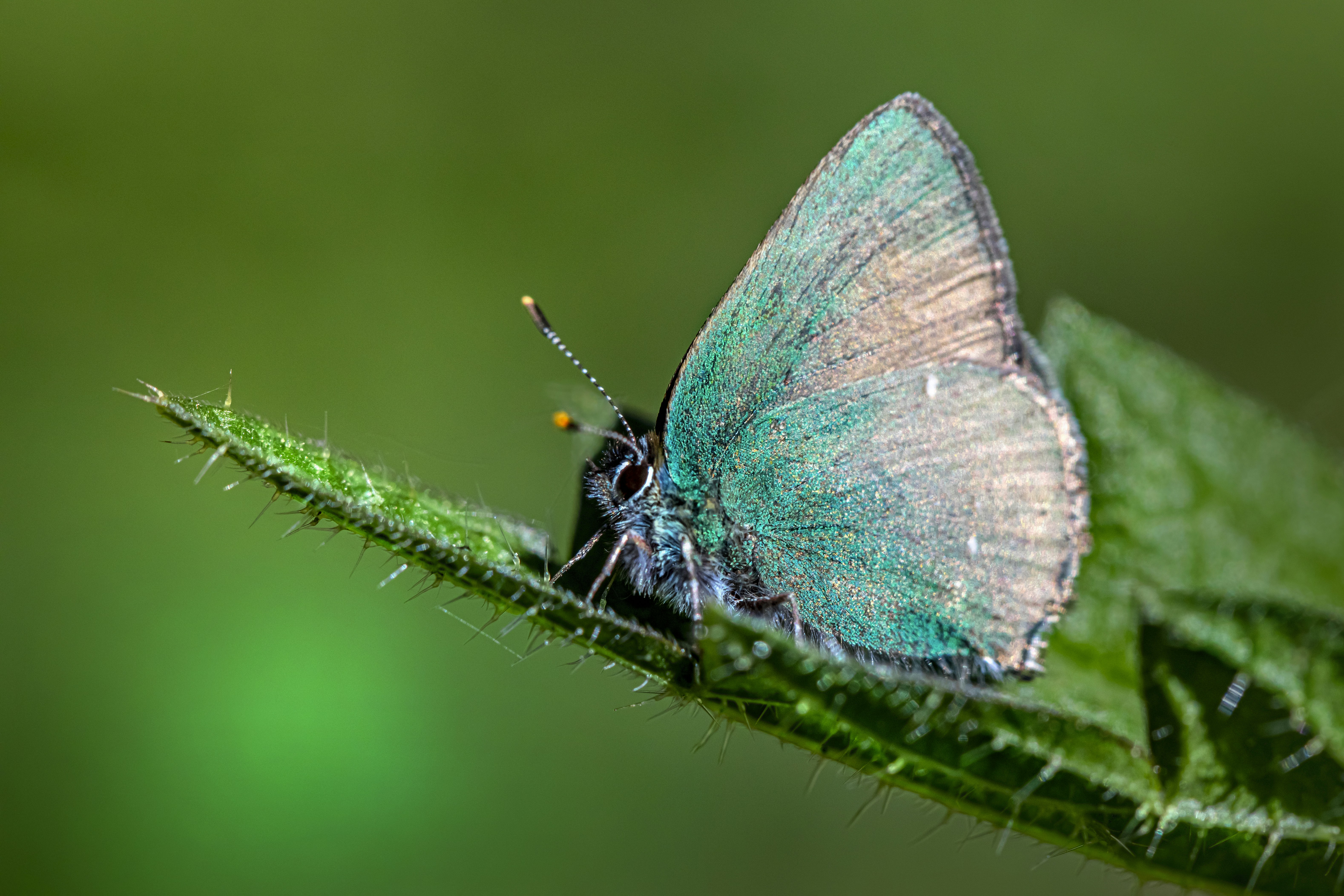 Photo by erik_karits