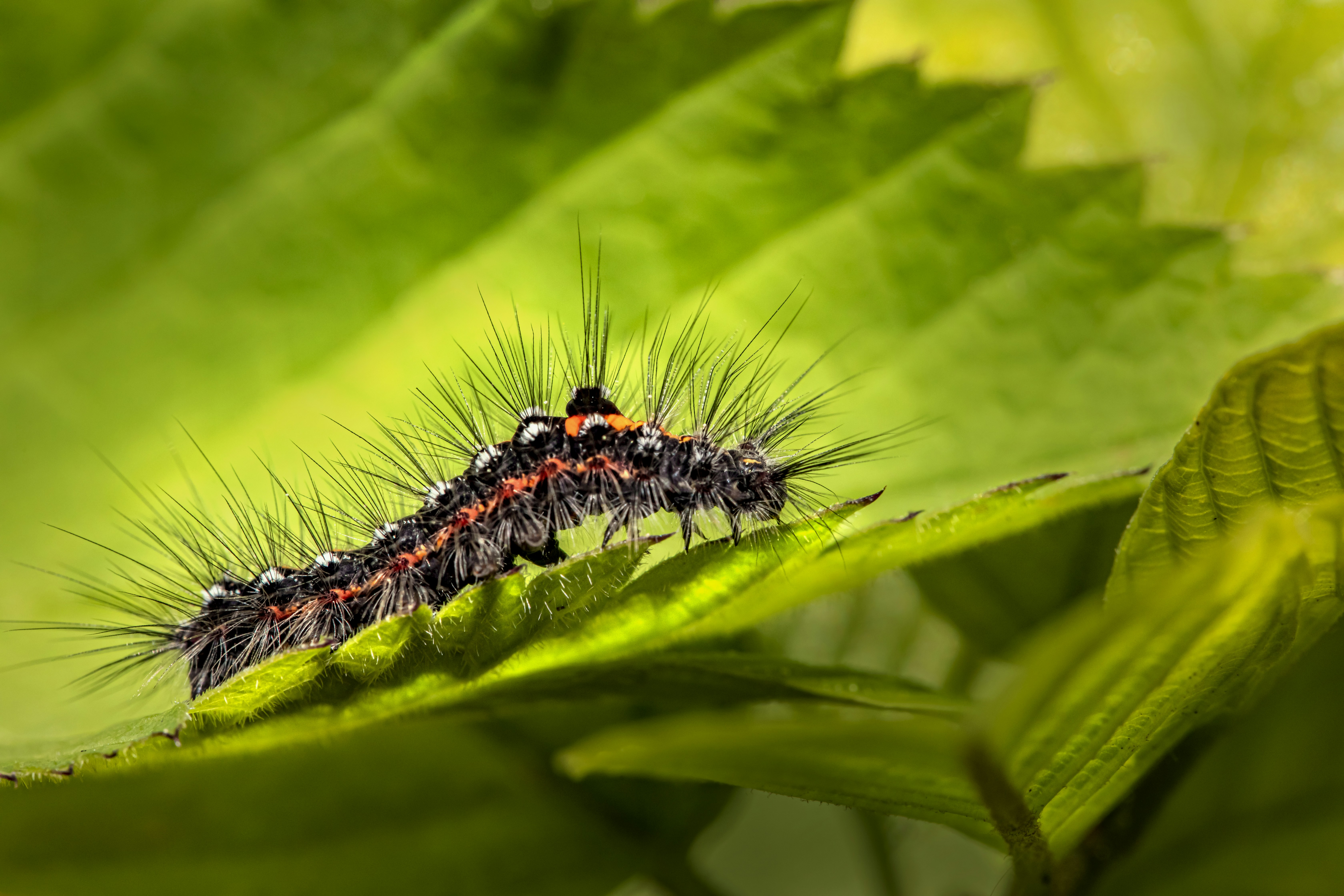 Photo by erik_karits