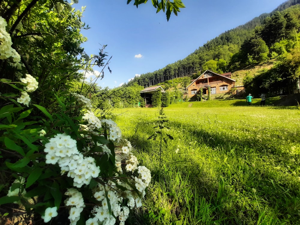 brown wooden house on green grass field during daytime