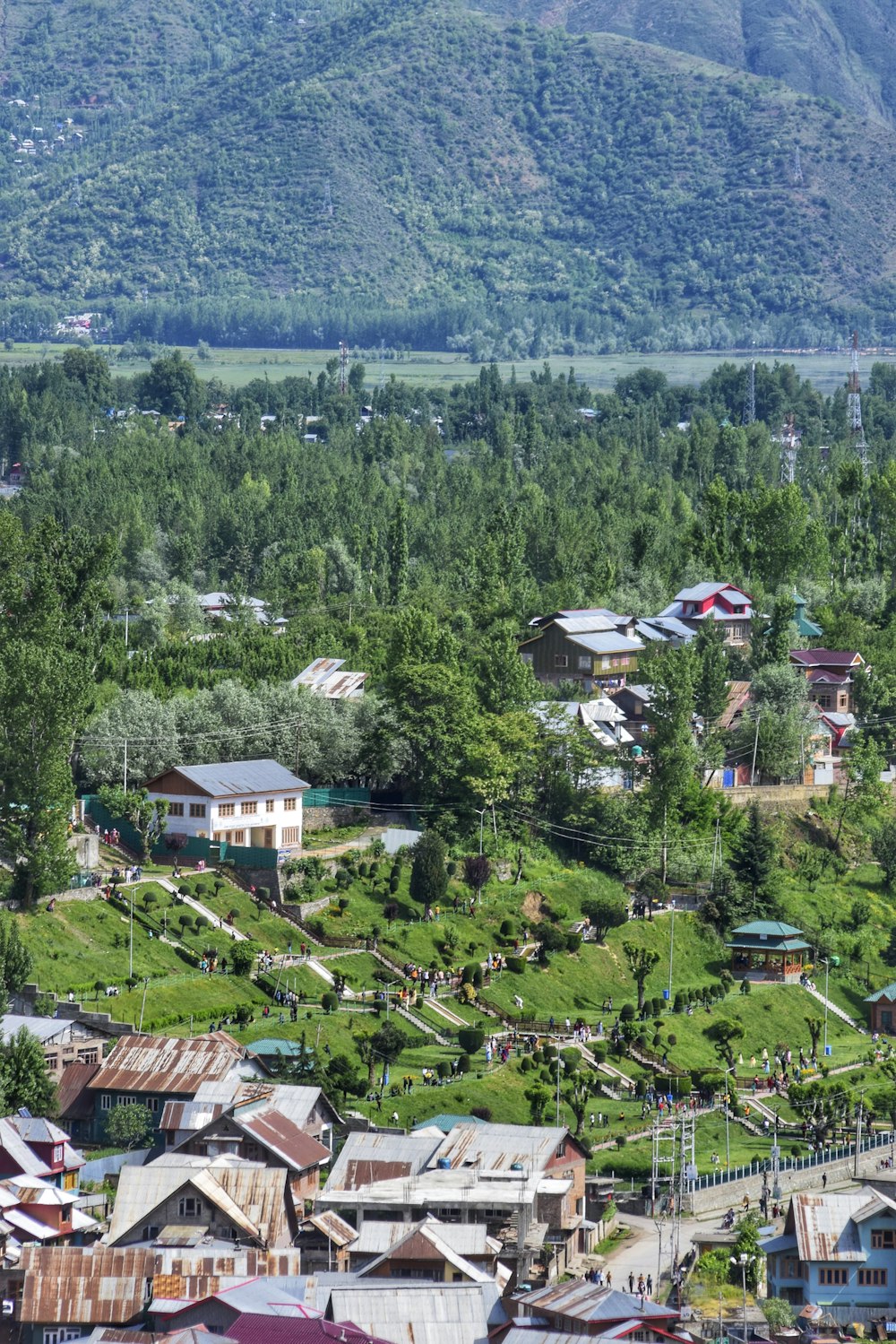 aerial view of green trees and houses during daytime