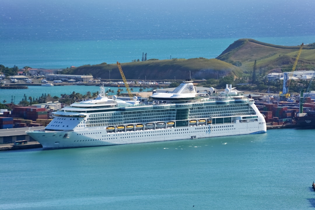 white cruise ship on sea during daytime