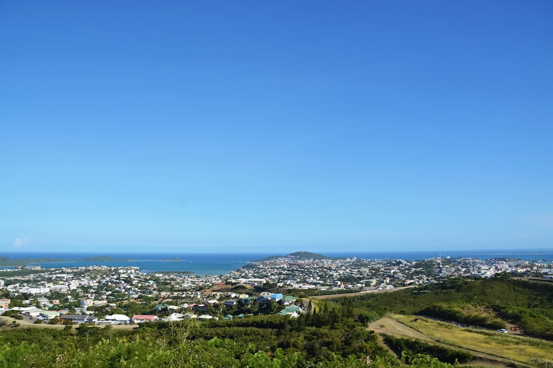 city buildings near green trees under blue sky during daytime