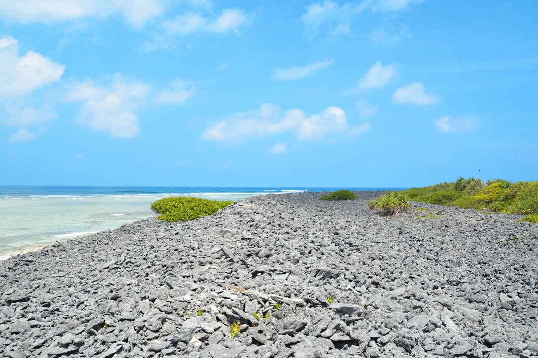 white and black stones near body of water under blue sky during daytime