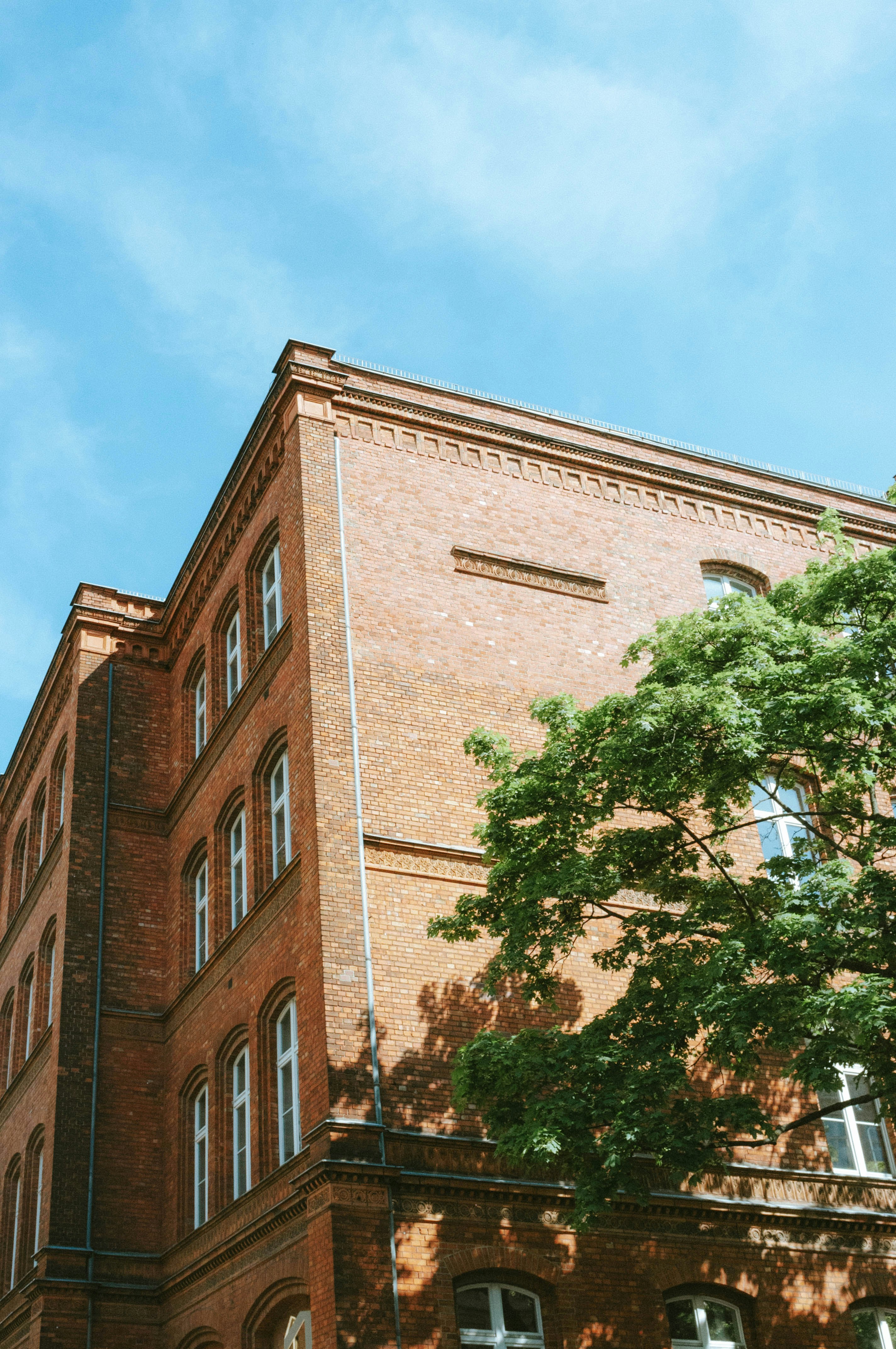 Photo by moisamihai092