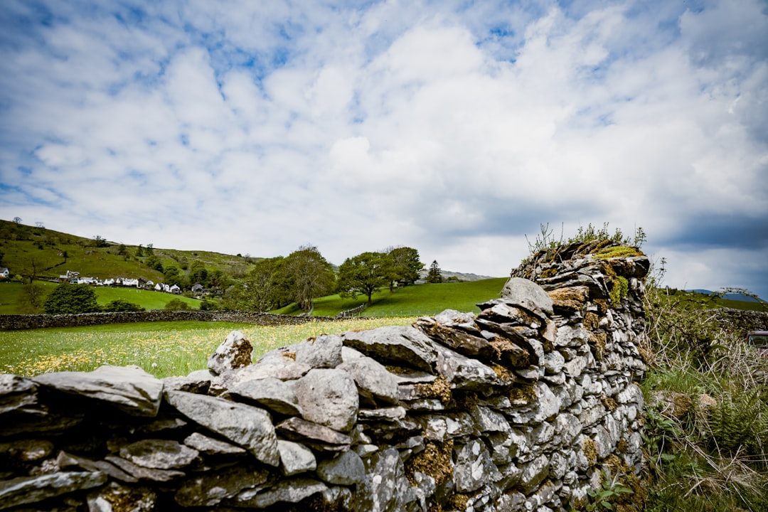 brown and gray rocks on green grass field under white clouds and blue sky during daytime