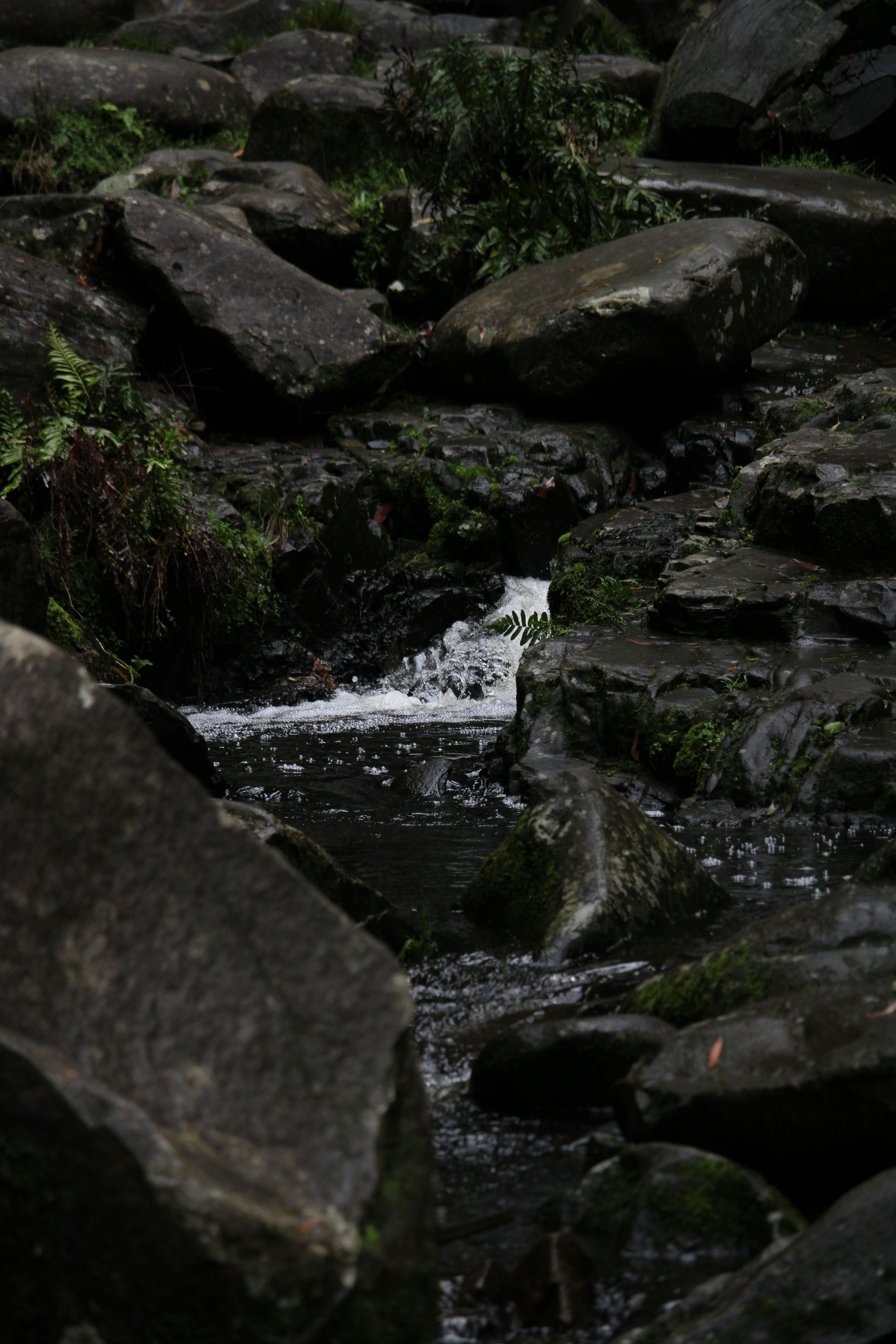 Photo by _sfletcher_