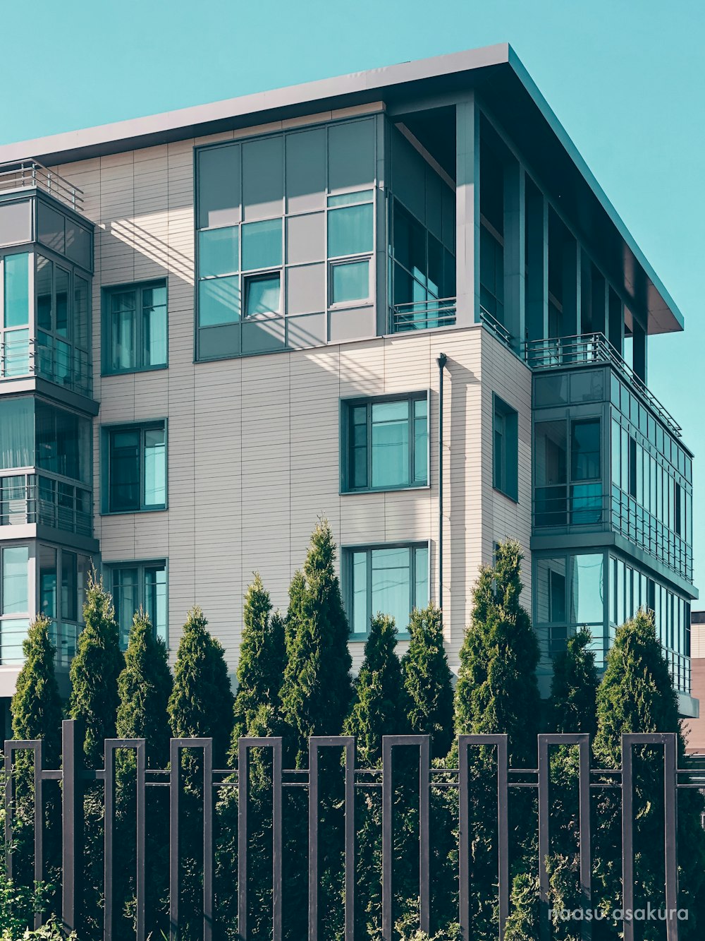 green trees in front of white concrete building