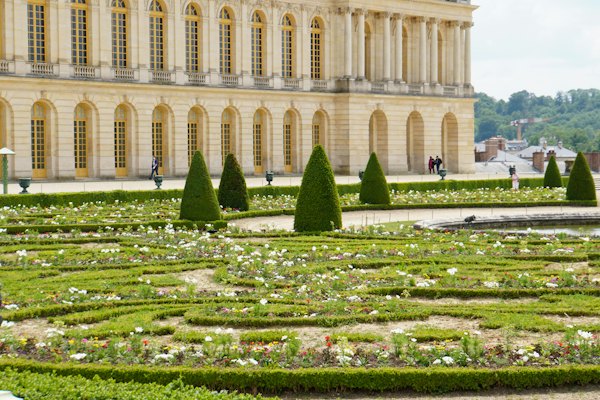 Clipped yews in front of the palace — Versailles, France