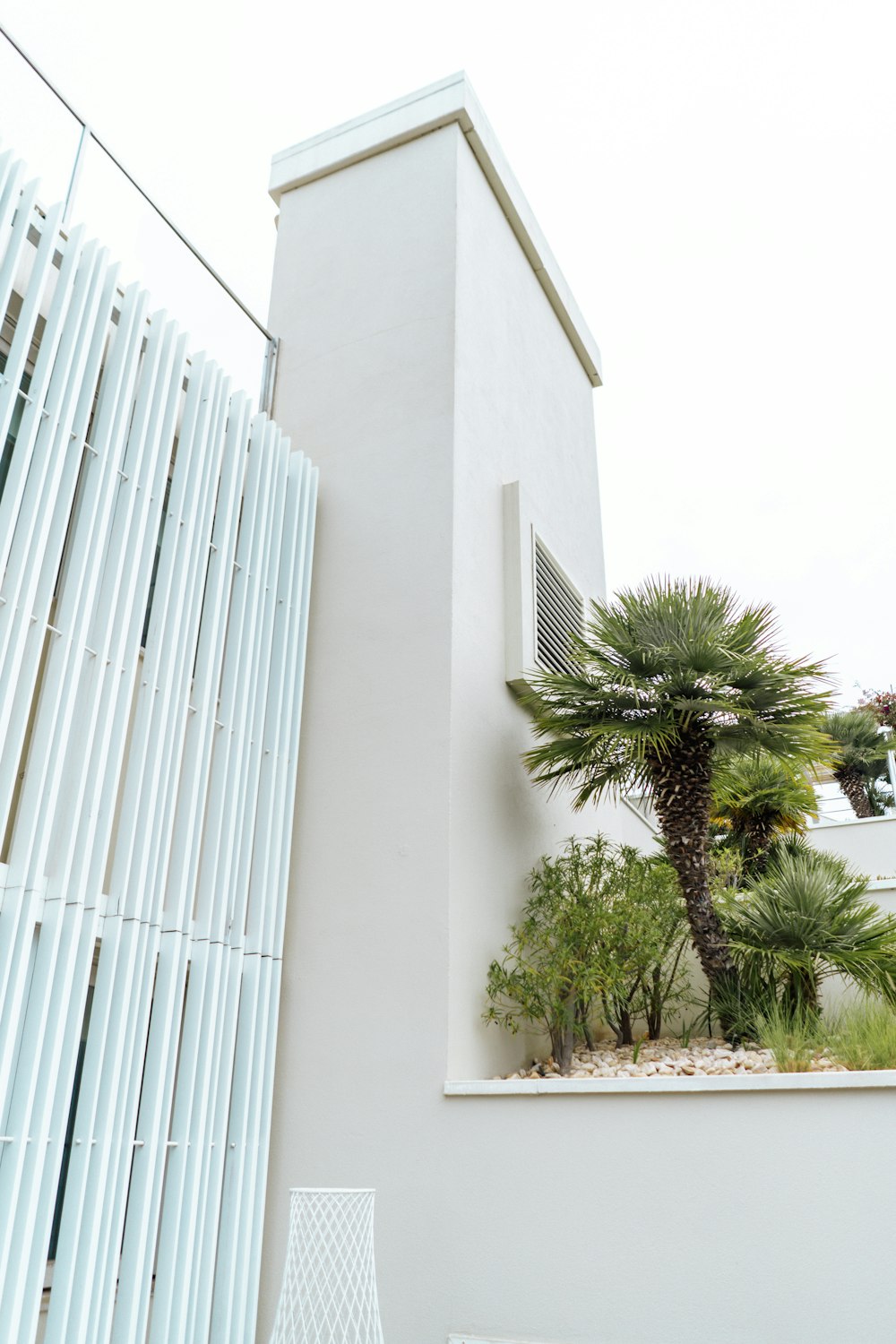 green palm tree beside white concrete building