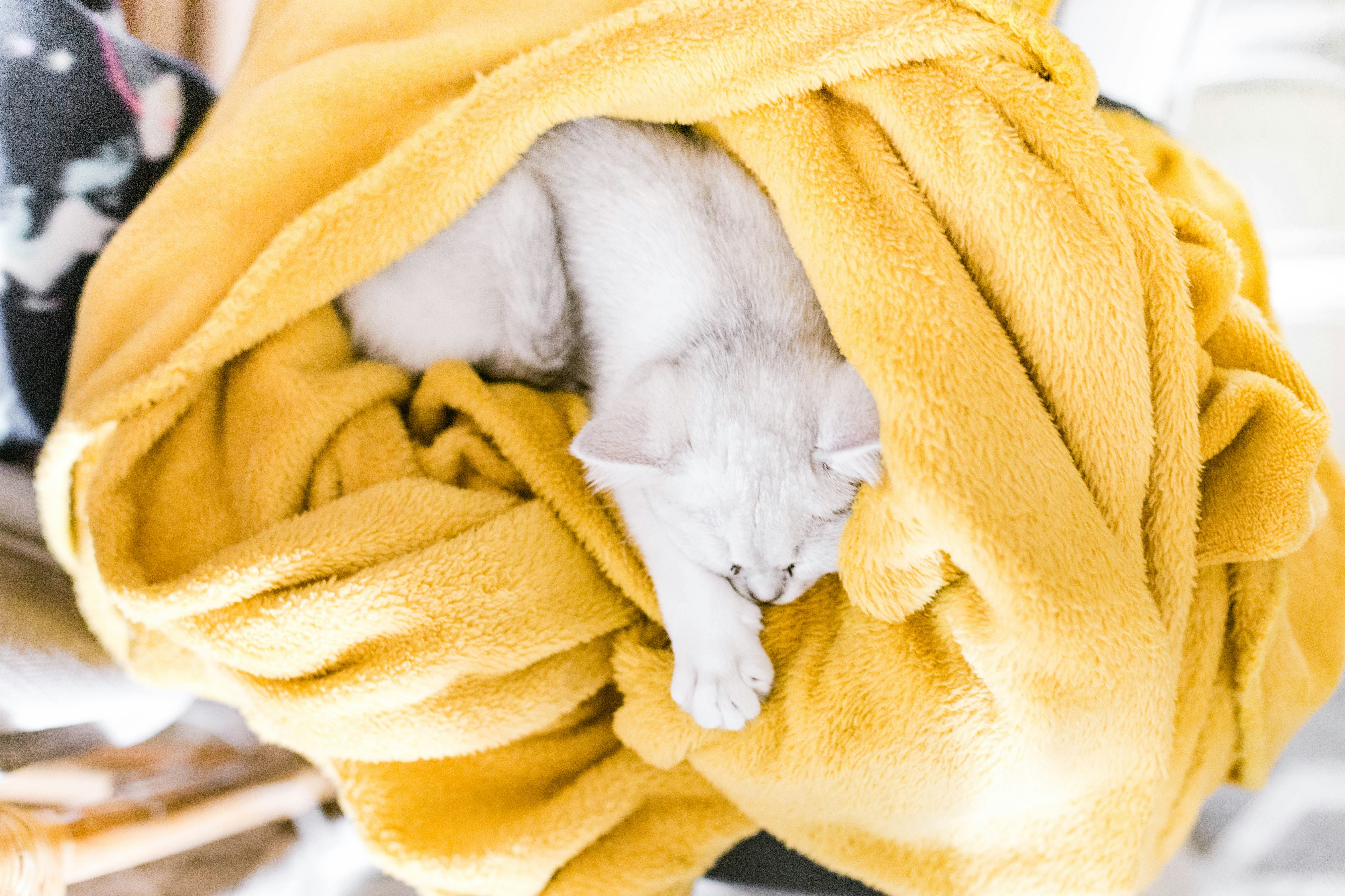 6 Retail Store Heating Cleaning Tips Explained