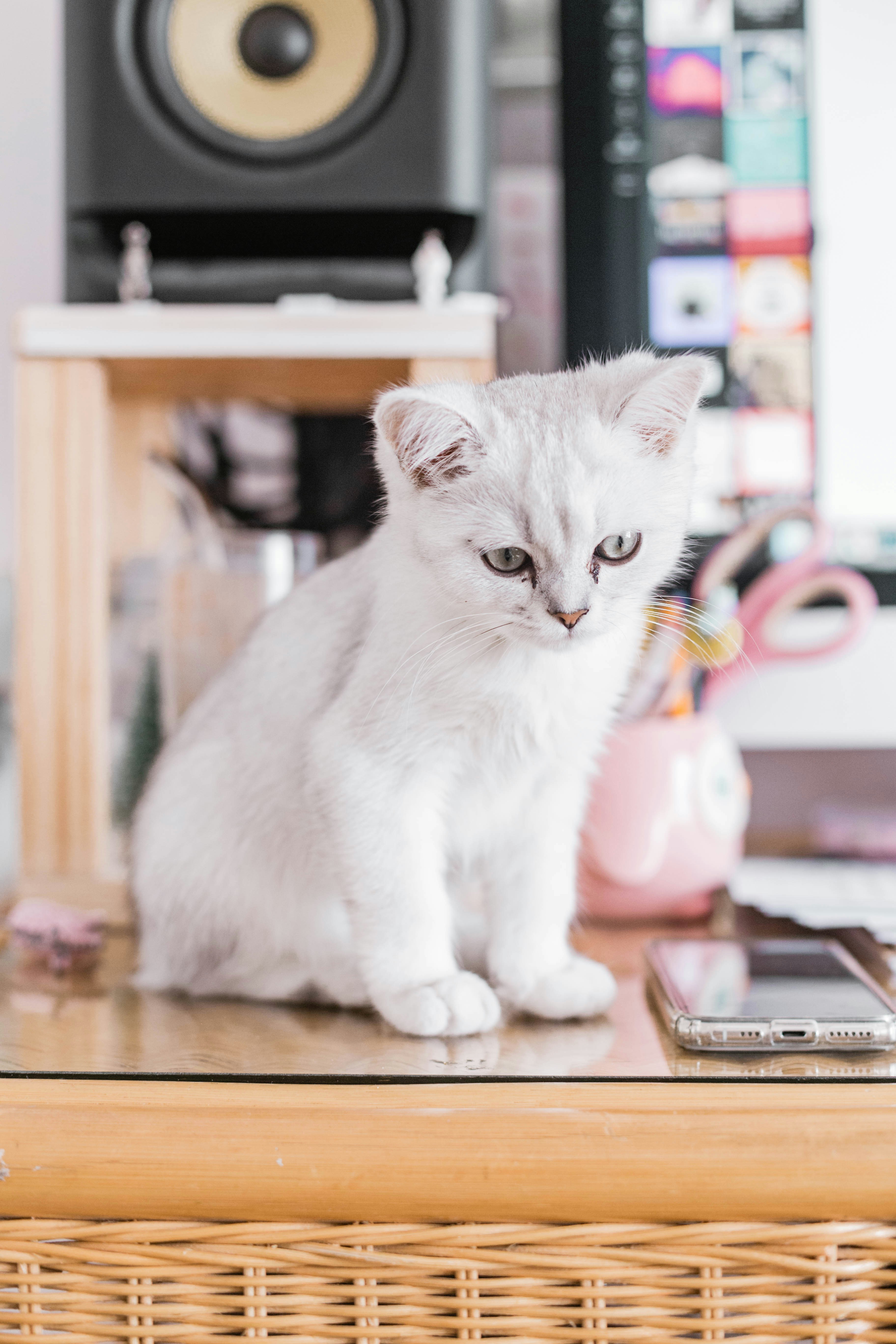 Photo by sincerelymedia