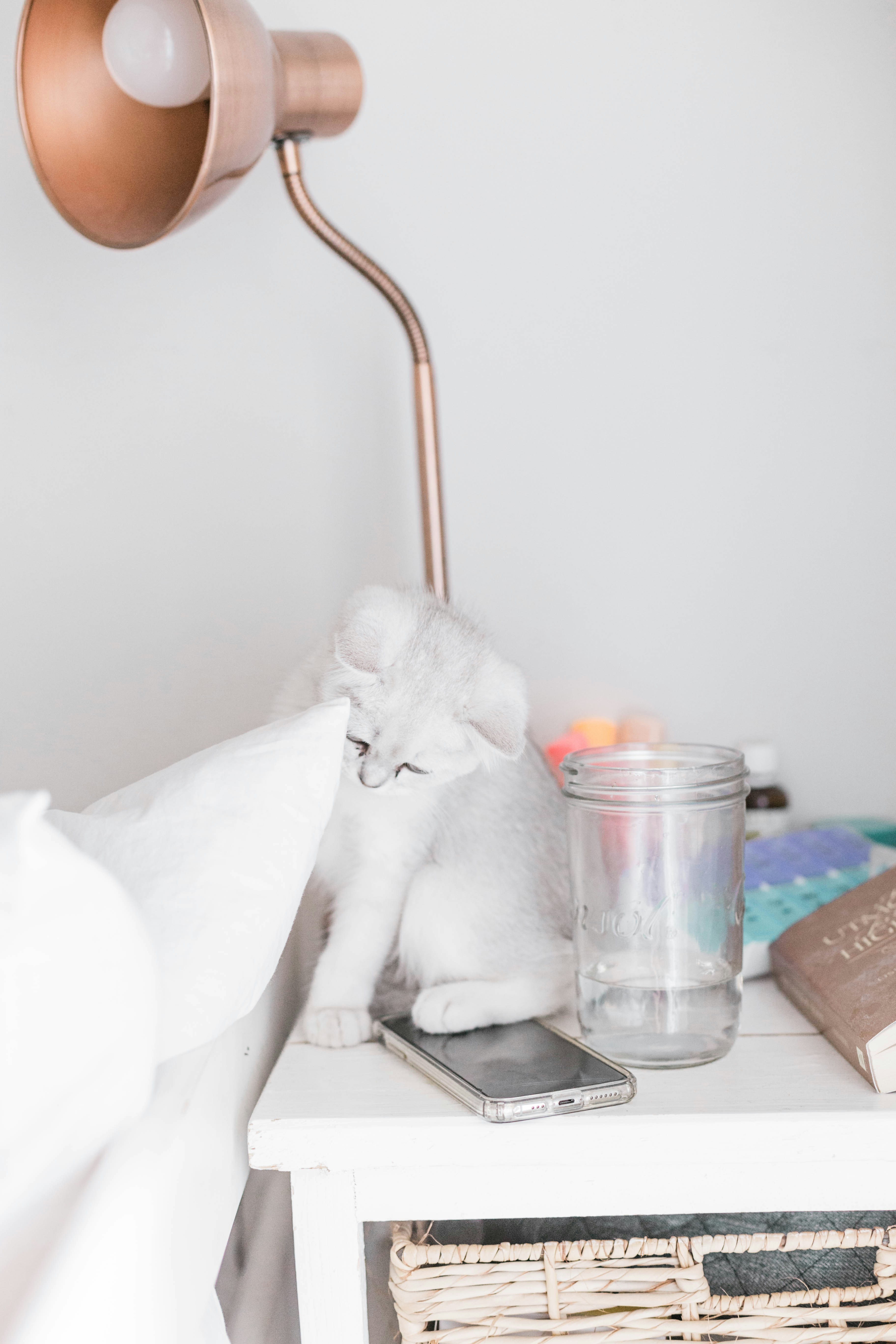 Photo by sincerelymedia