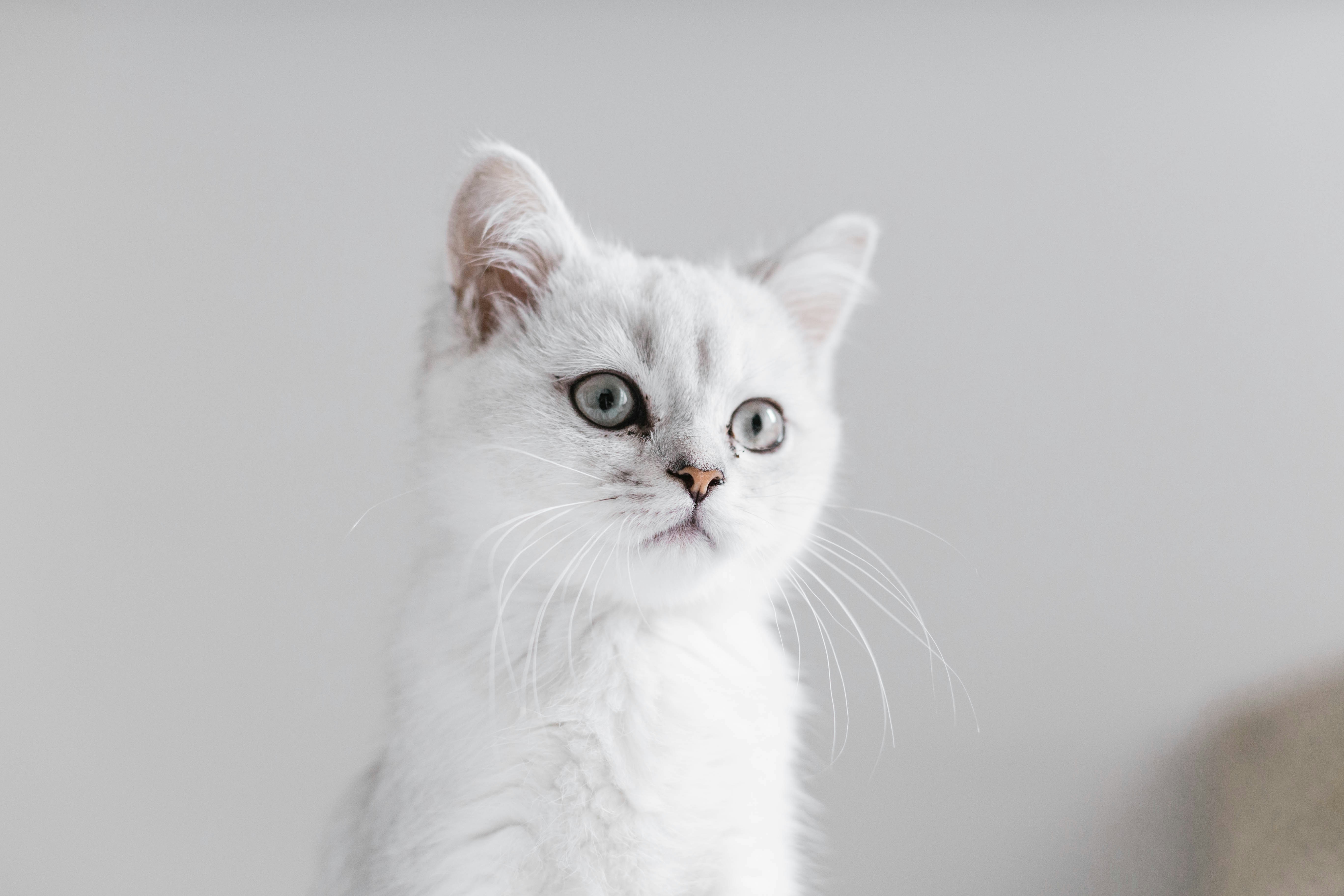 Photo by sincerelymedia