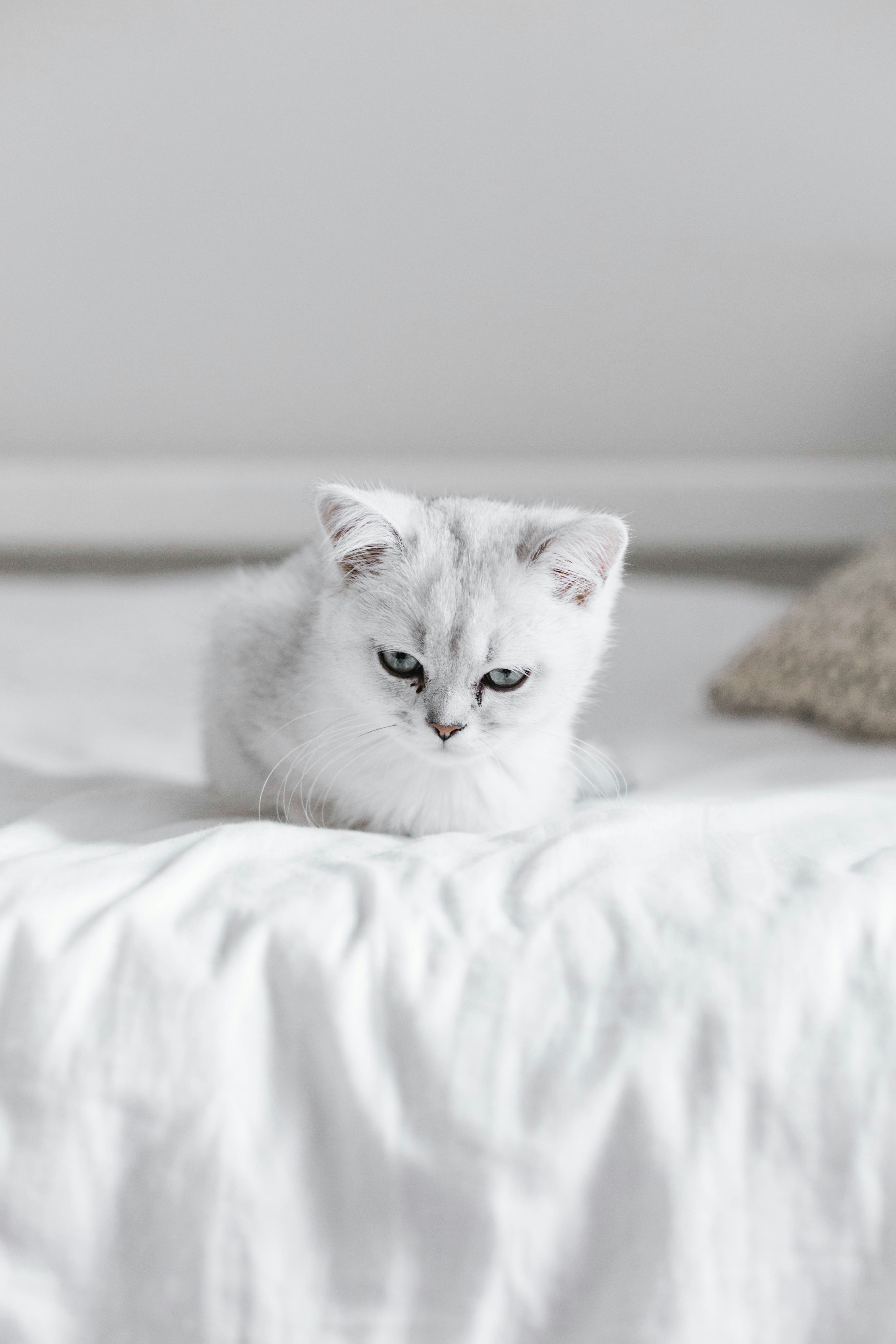 Photo by sincerelymedia