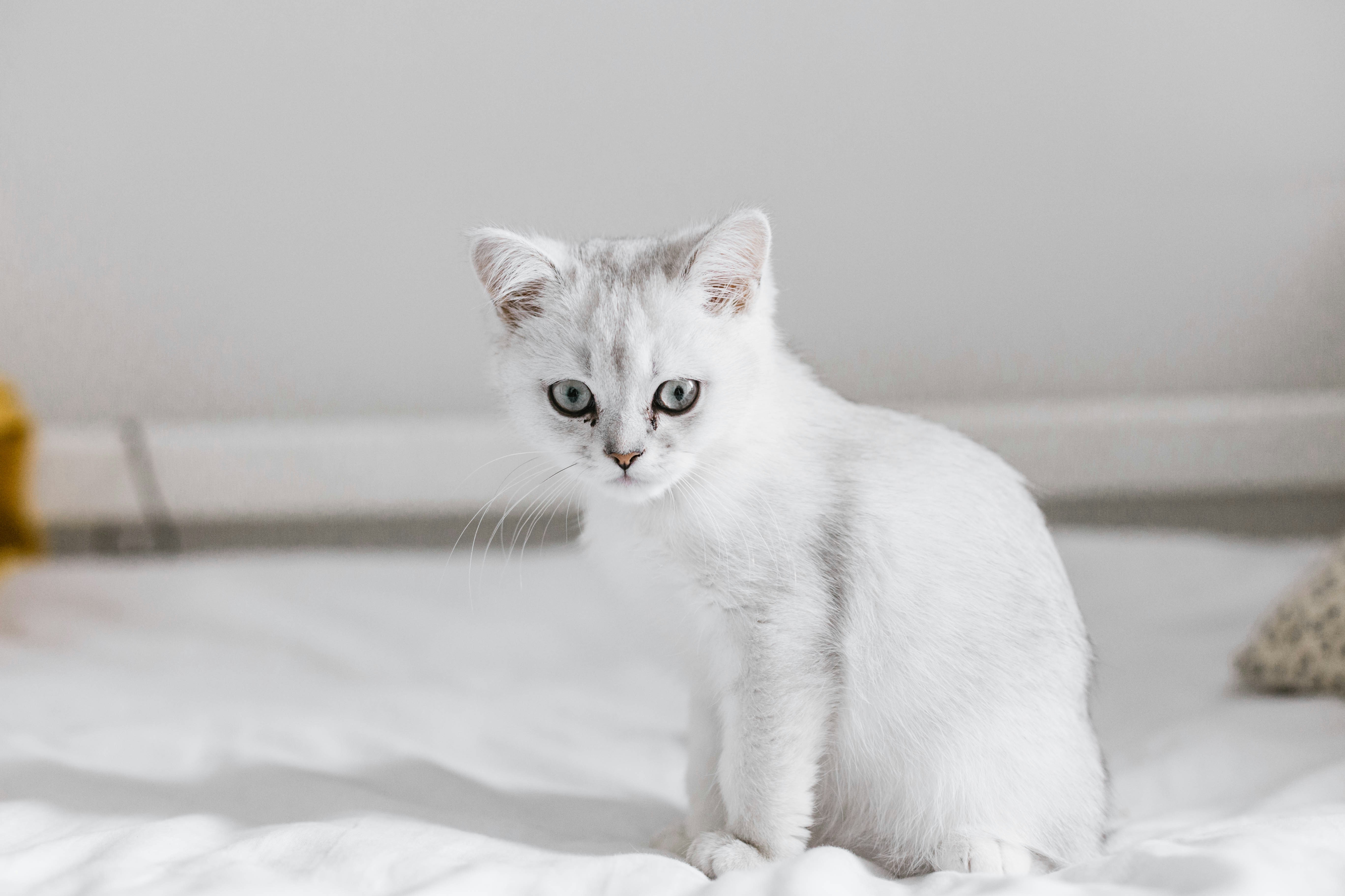 Photo by sincerelymedia