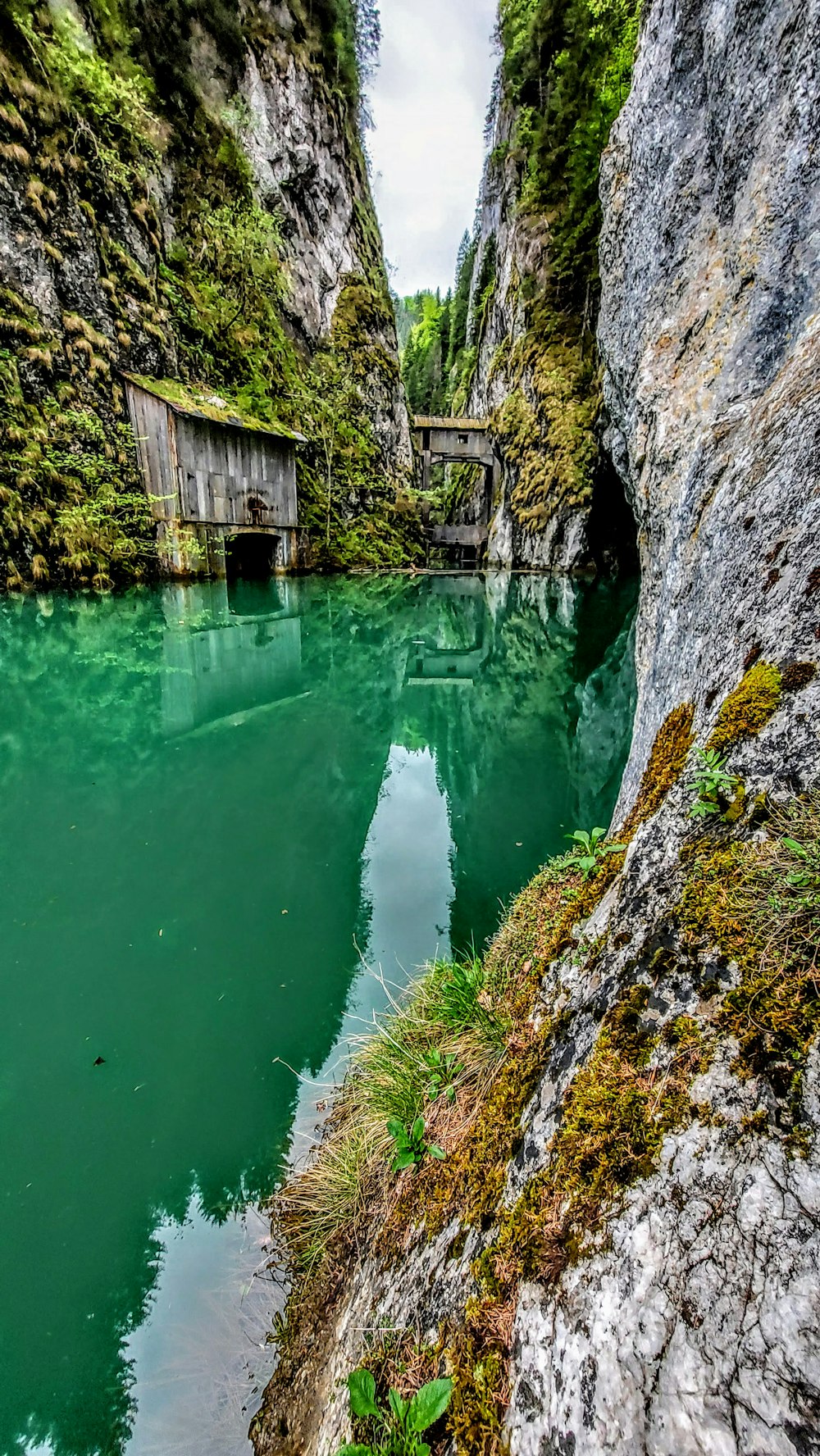 brown wooden house on green river