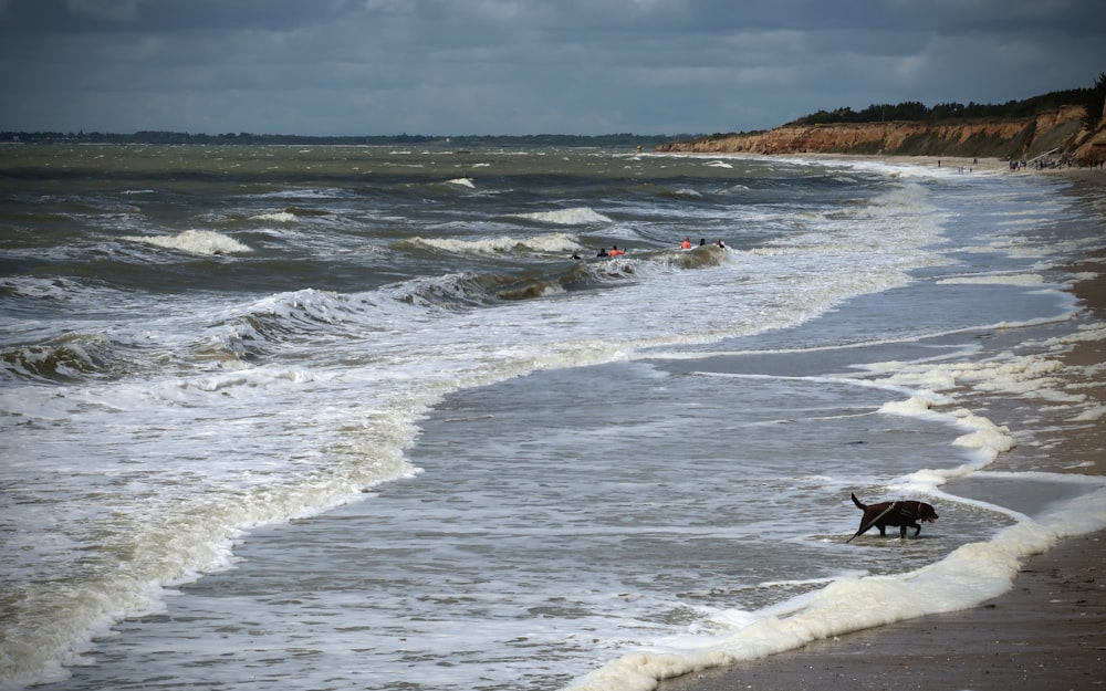 person surfing on sea waves during daytime