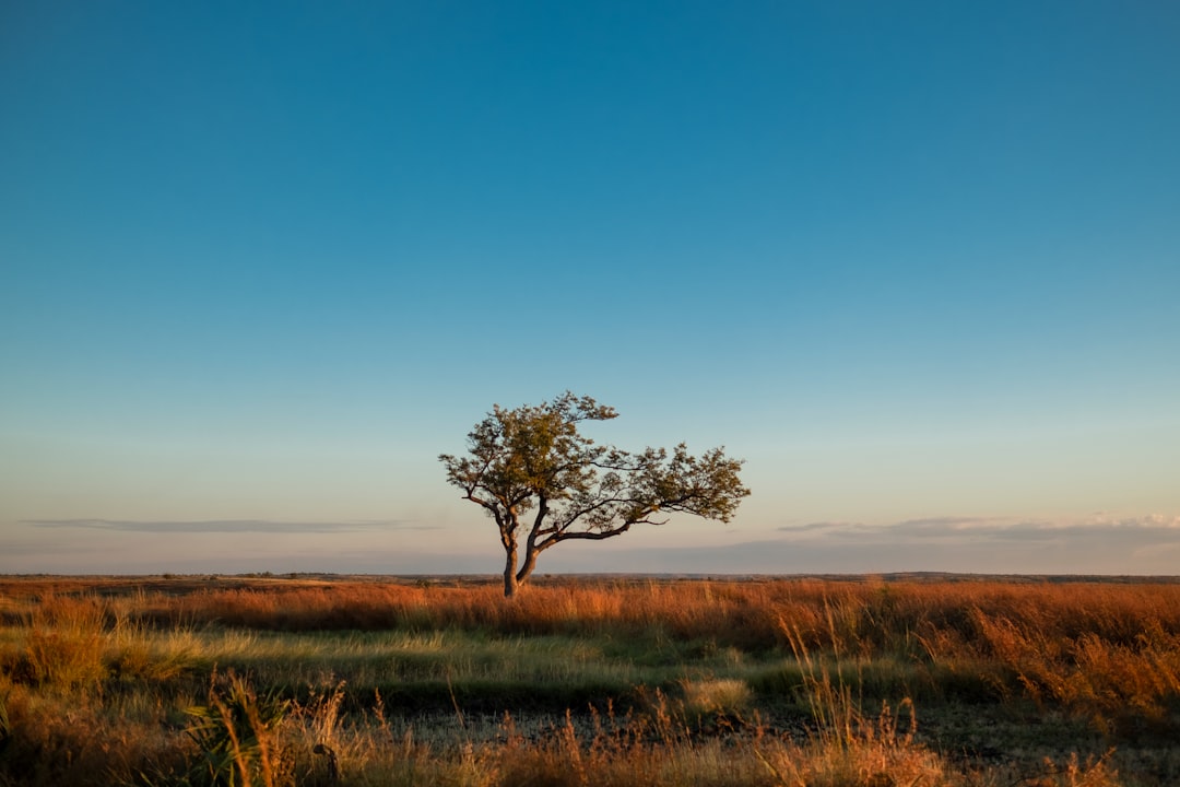 Natural landscape photo spot Mahajanga Madagascar