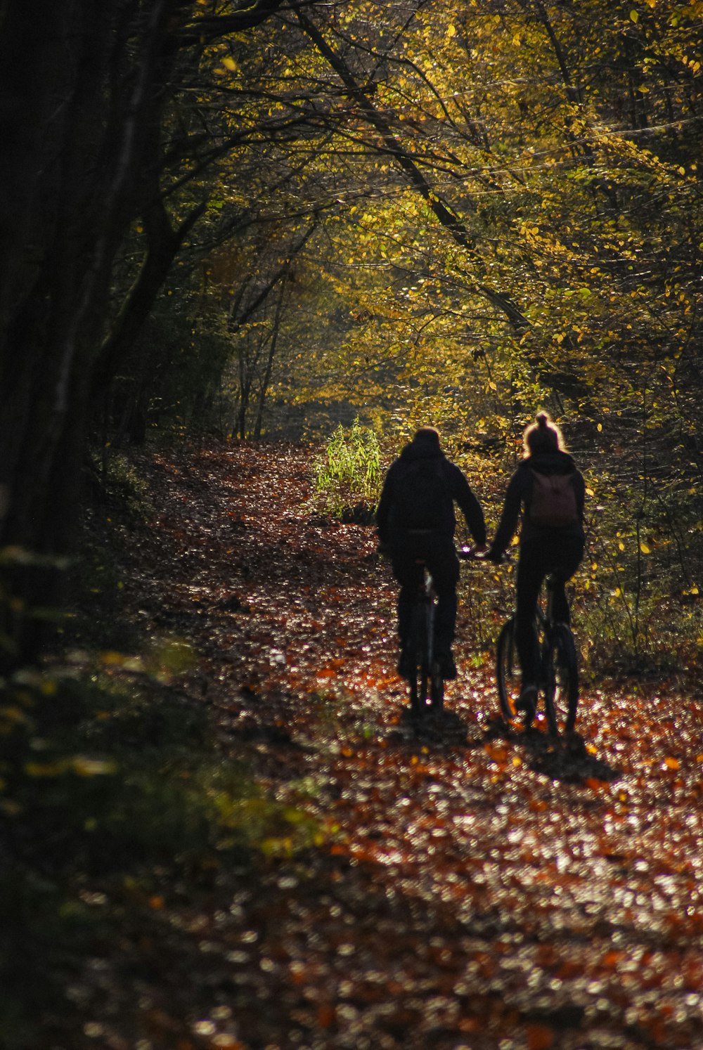 man and woman walking on forest during daytime