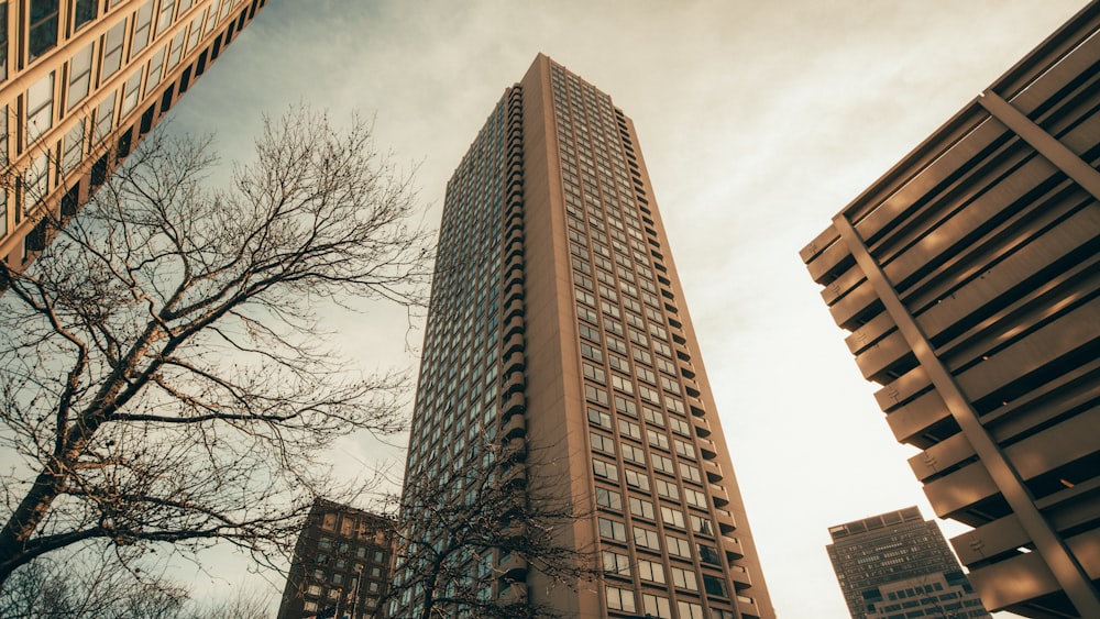 brown concrete building during daytime