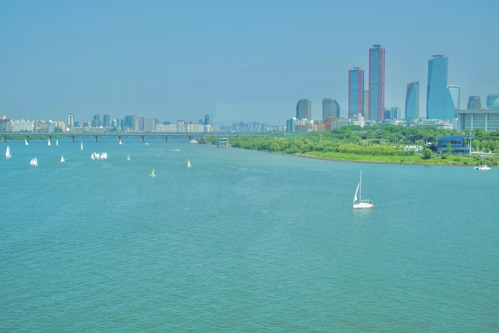 white boat on sea near city buildings during daytime