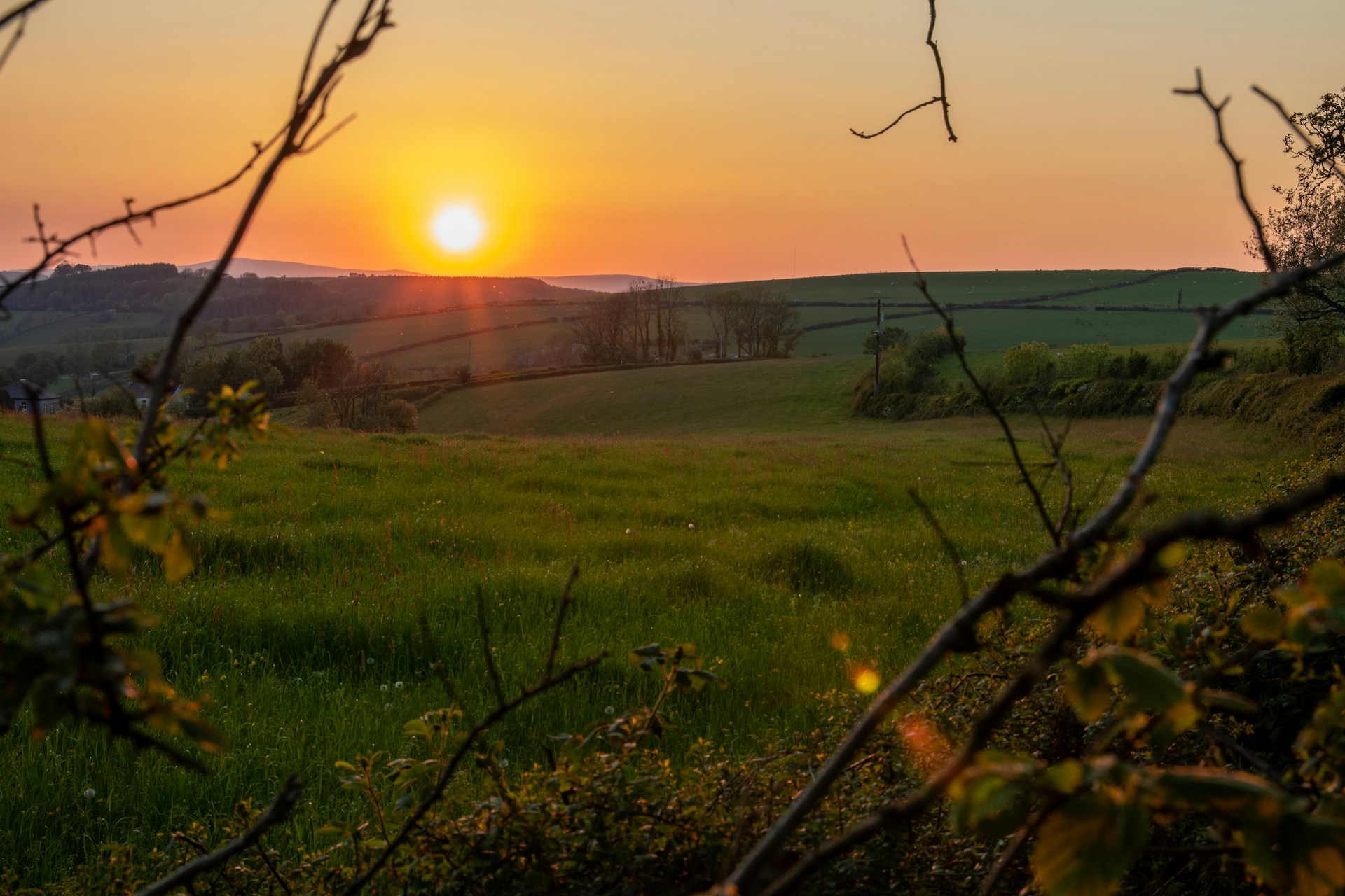 green grass field during sunset