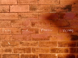 A red brick wall with four words written in white chalk: Pussy, and, Power, Venom. The words are written across the bricks in a casual, uneven handwriting style.