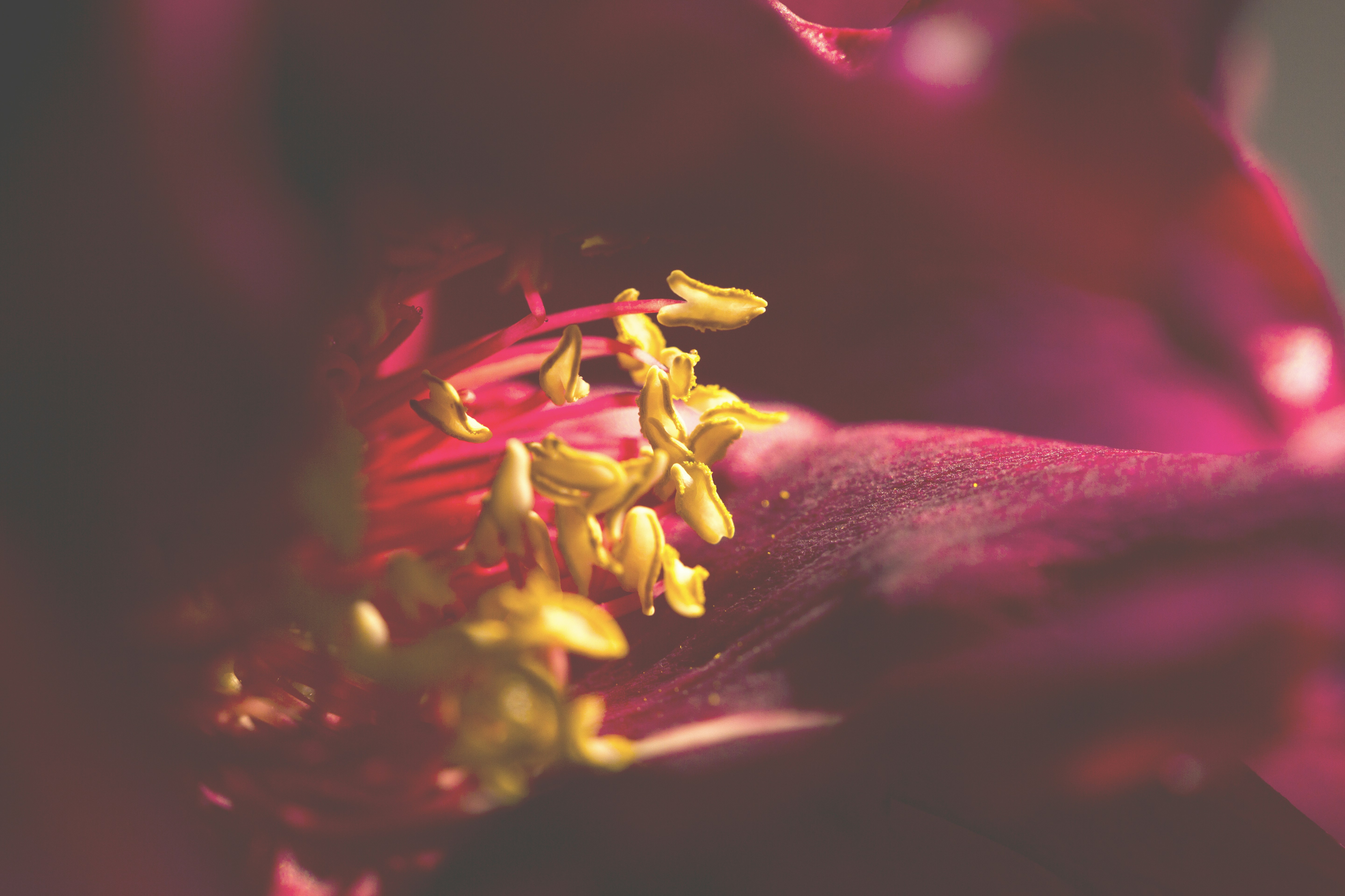 Photo by ditakesphotos