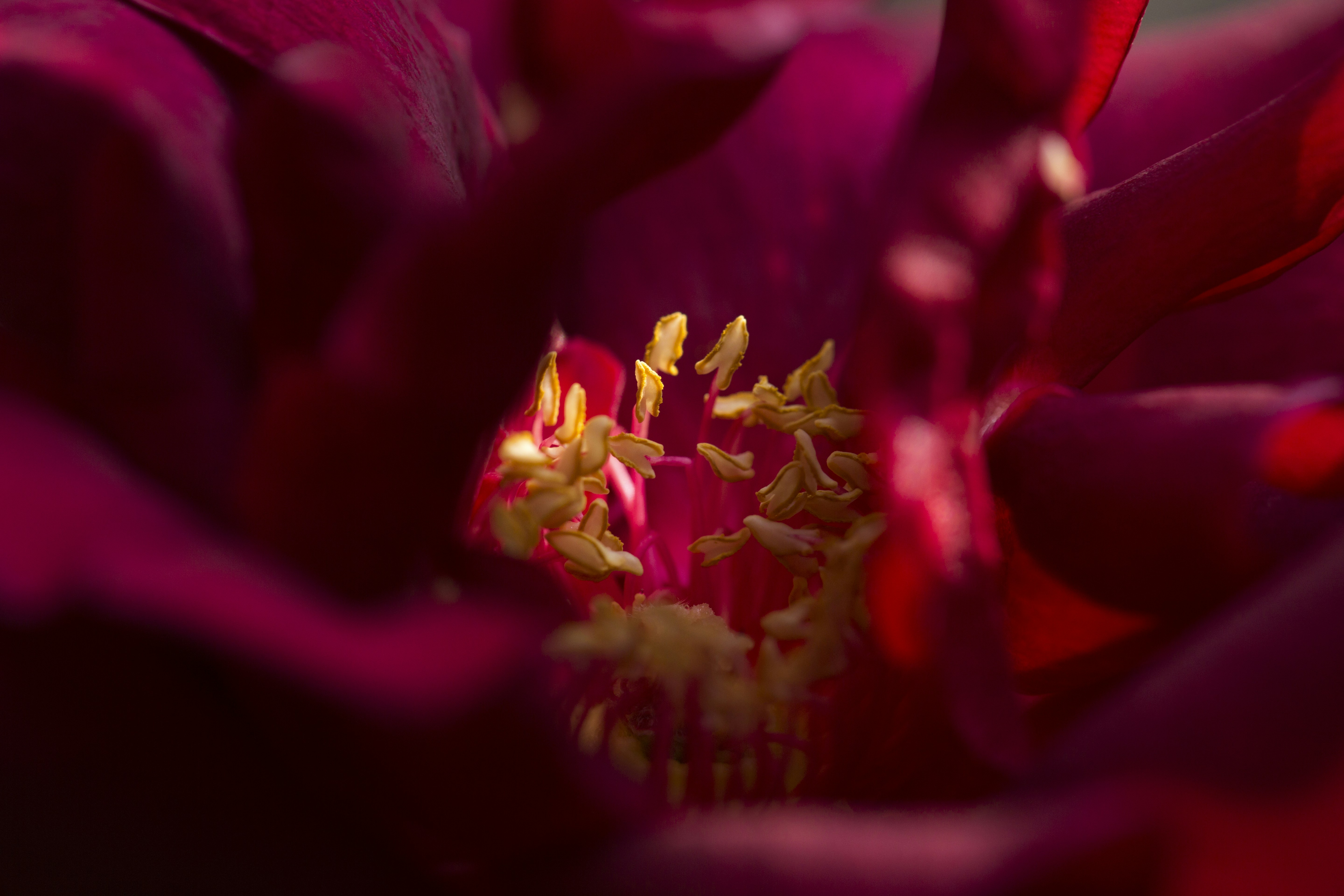 Photo by ditakesphotos