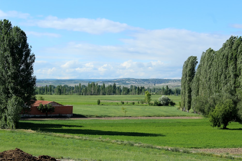 green grass field near brown wooden house during daytime