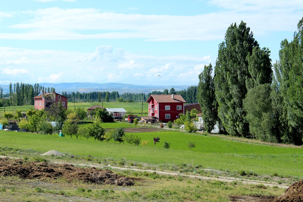 red and white house on green grass field