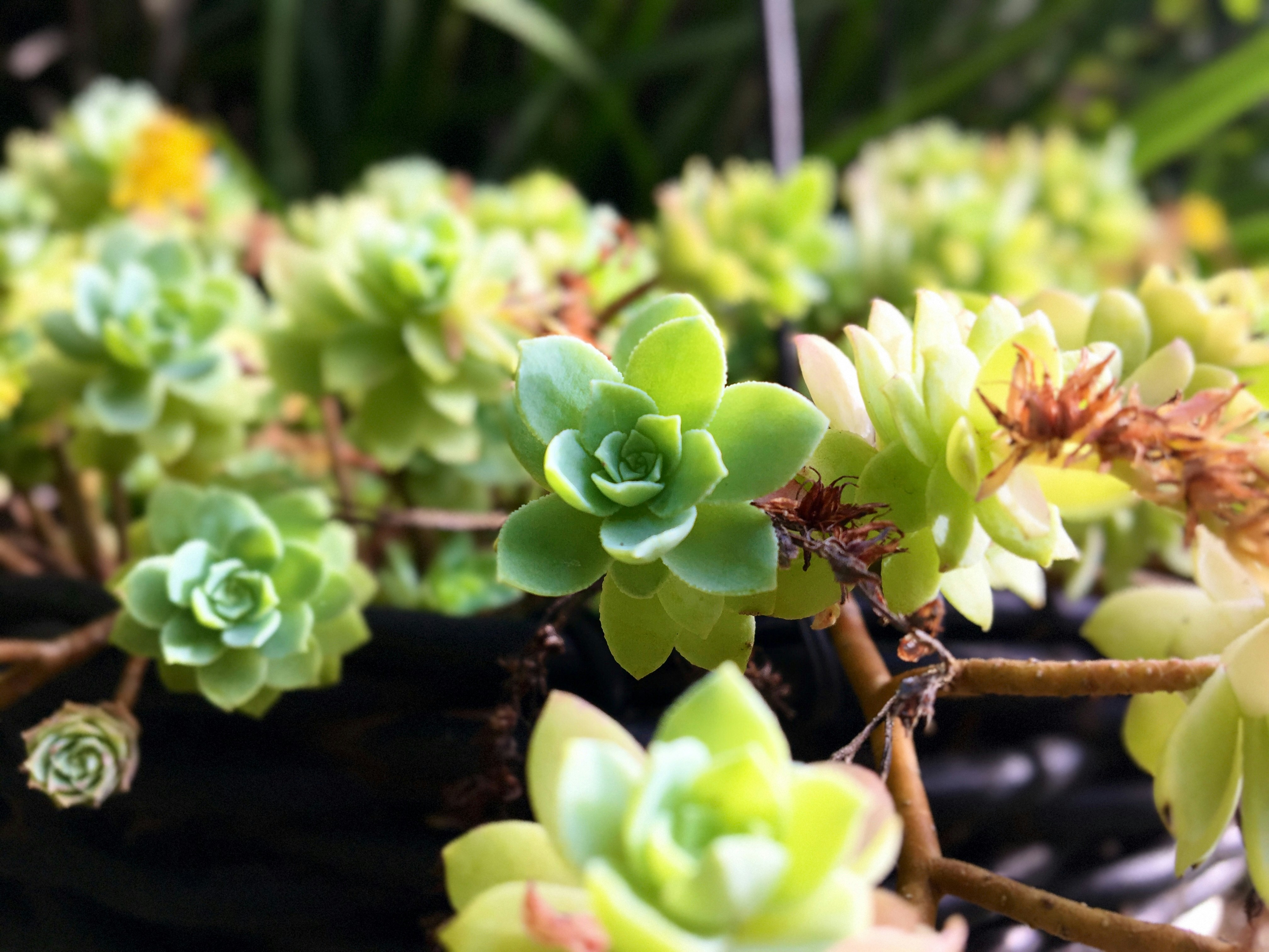 Photo by jrgluisduarteg07