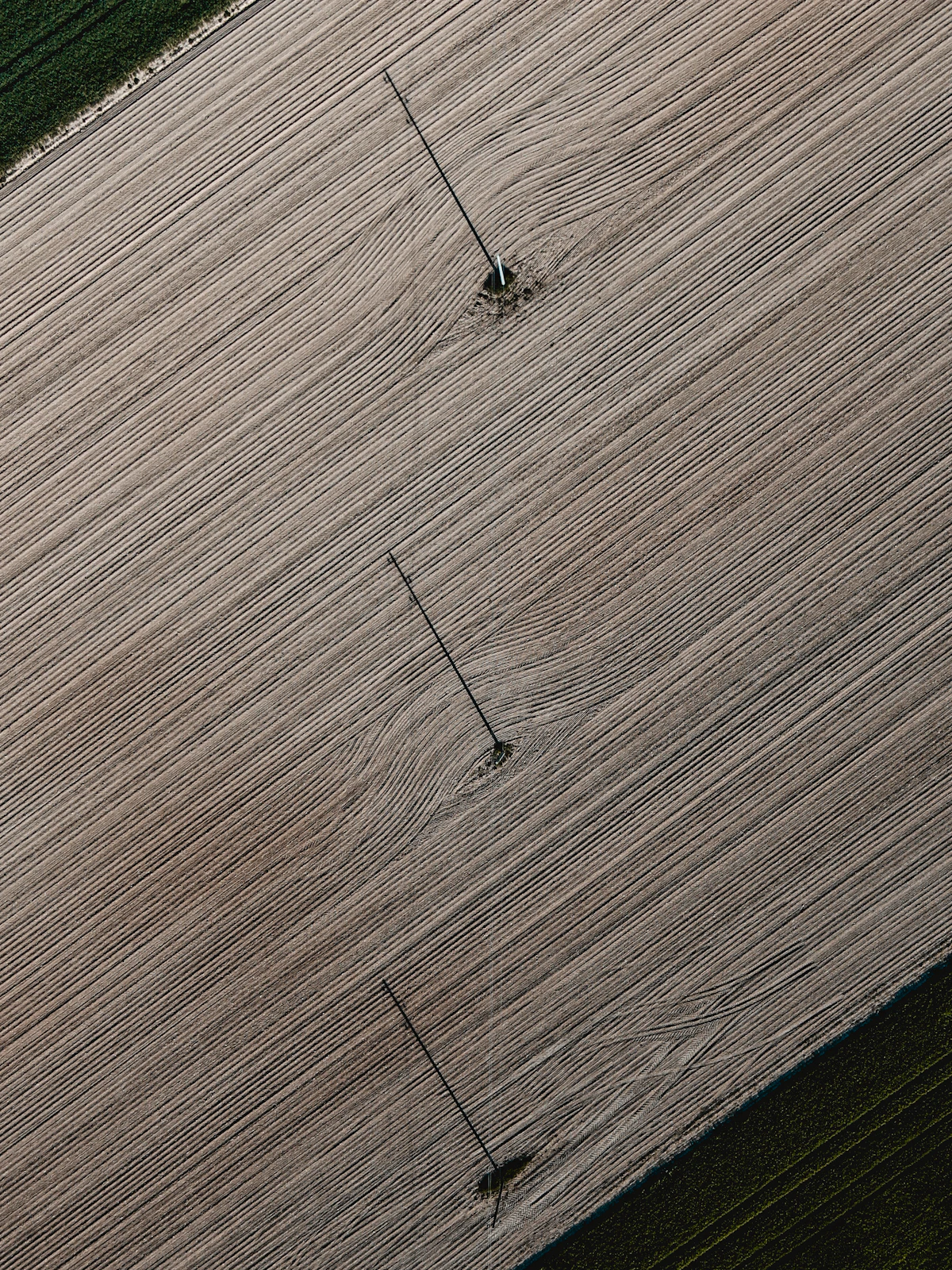 Gleaming hardwood flooring freshly installed in a bright residential living room