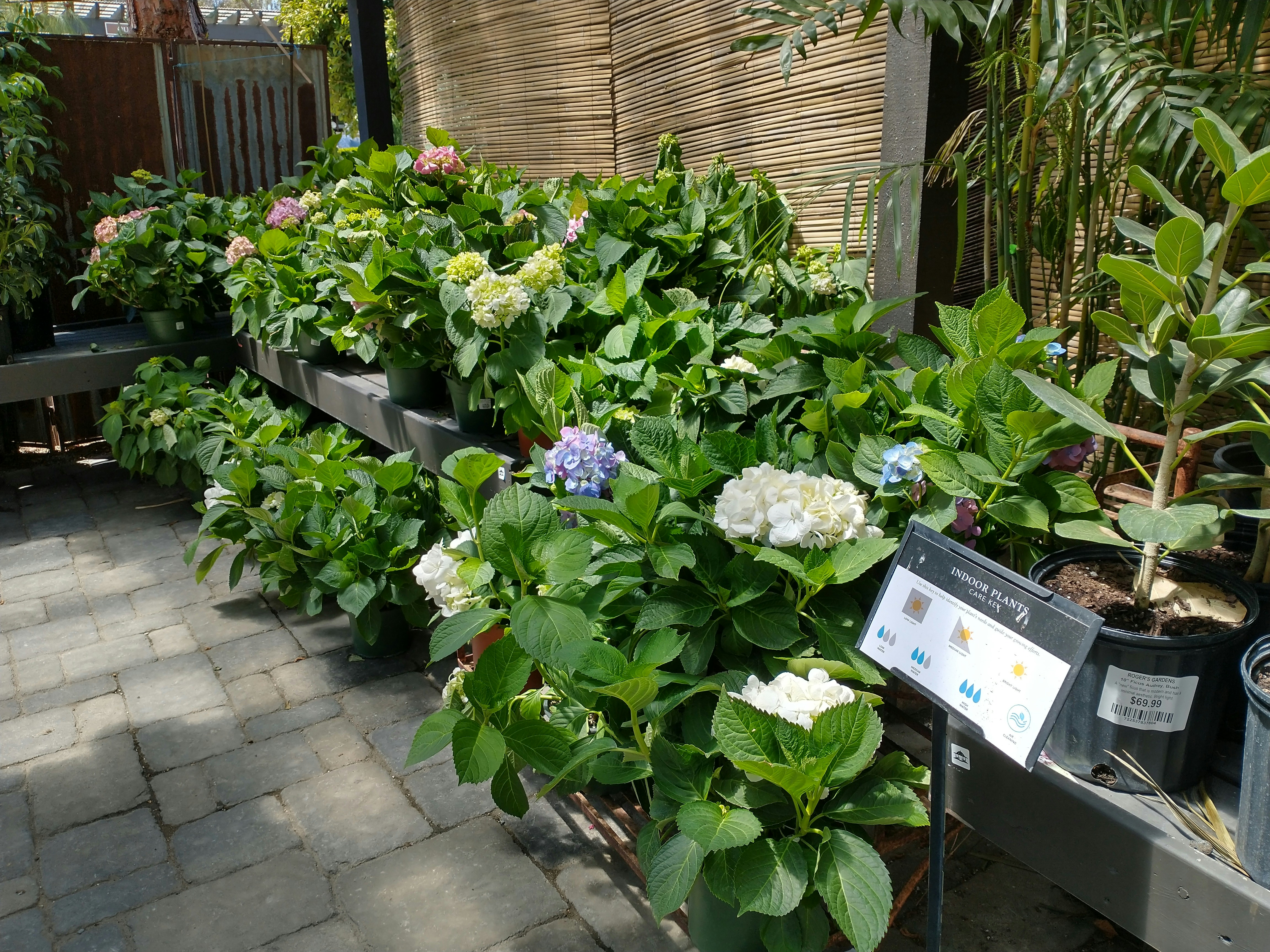 Passo a Passo para Ter um Jardim Doméstico com Plantas e Gramado Bem Hidratado