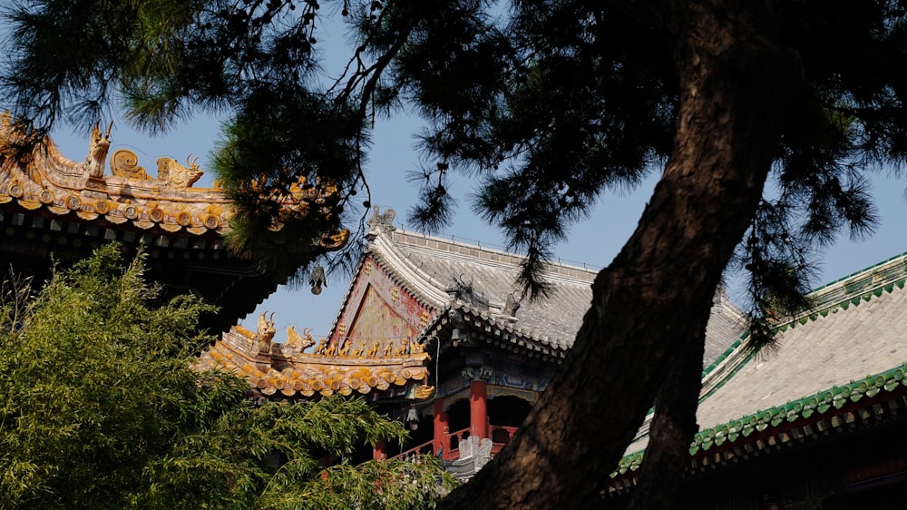 brown and white temple under blue sky during daytime