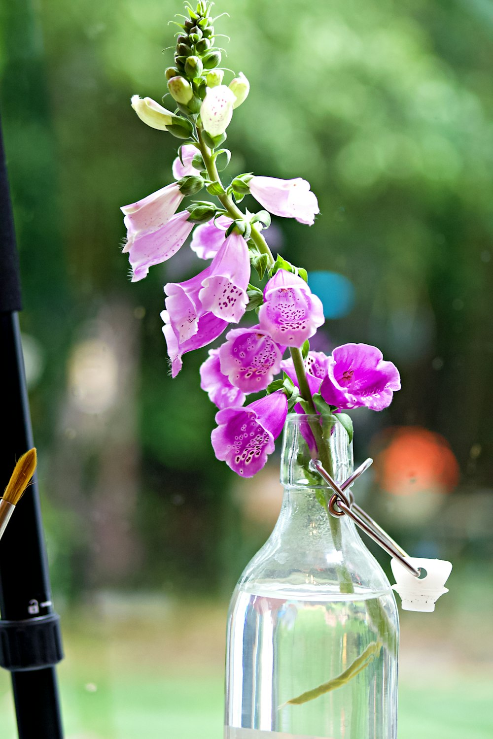 purple flower in clear glass vase