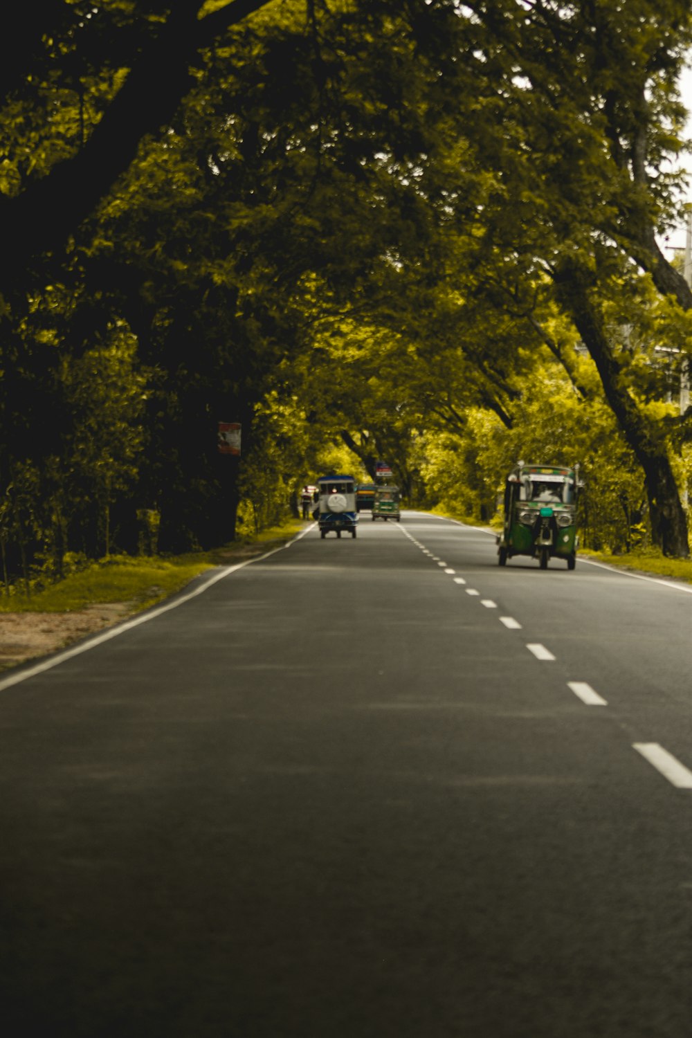 black car on road between green trees during daytime