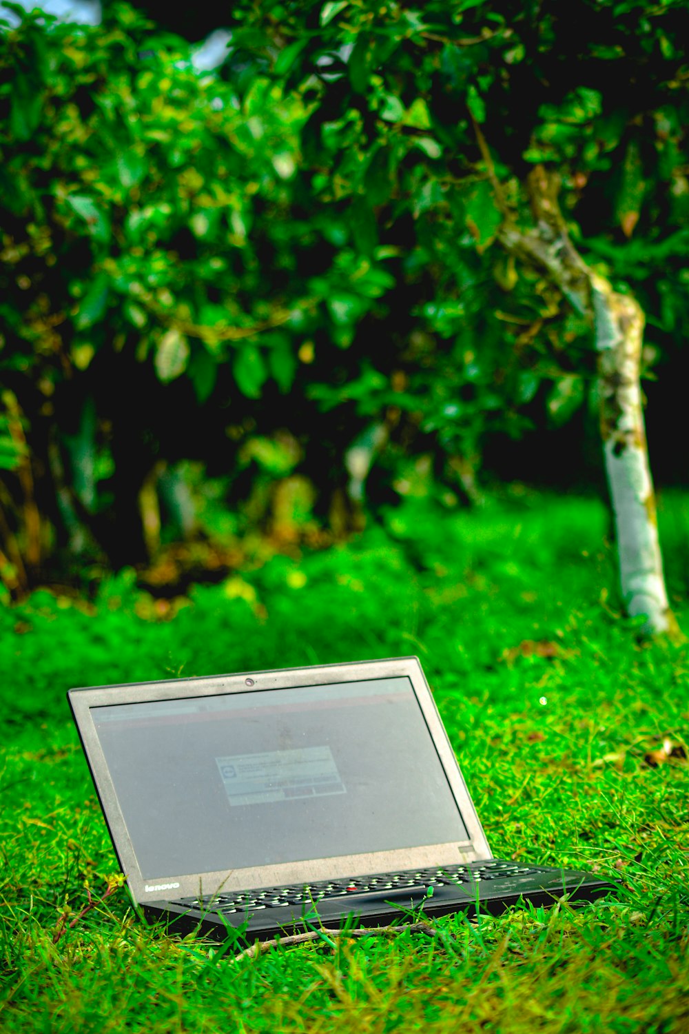 computer tablet bianco su erba verde