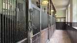 A stable interior featuring individual horse stalls with wooden doors and black iron bars. The floor is tiled, and overhead lights are hanging from the ceiling. Bridles and other equestrian equipment are visible hanging on hooks.