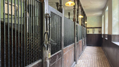 Close-up of a sleek horse stall with clean, spacious design and fresh bedding