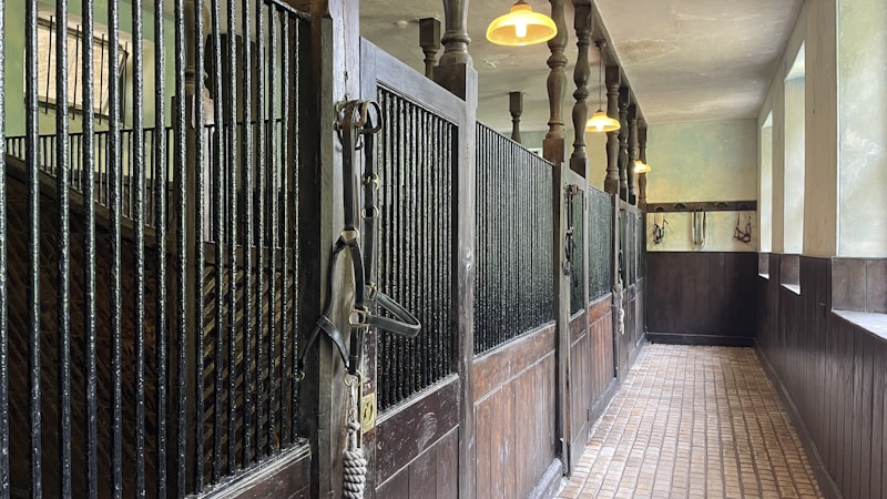 A stable interior featuring individual horse stalls with wooden doors and black iron bars. The floor is tiled, and overhead lights are hanging from the ceiling. Bridles and other equestrian equipment are visible hanging on hooks.