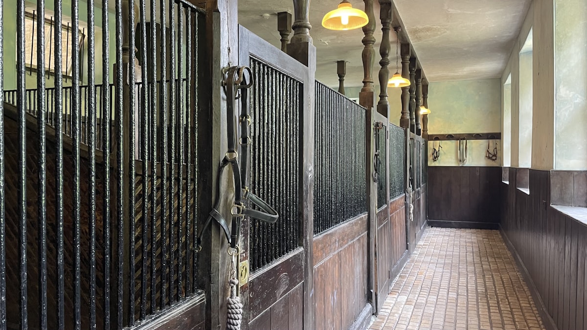 Modern stable facilities at Titan Stables