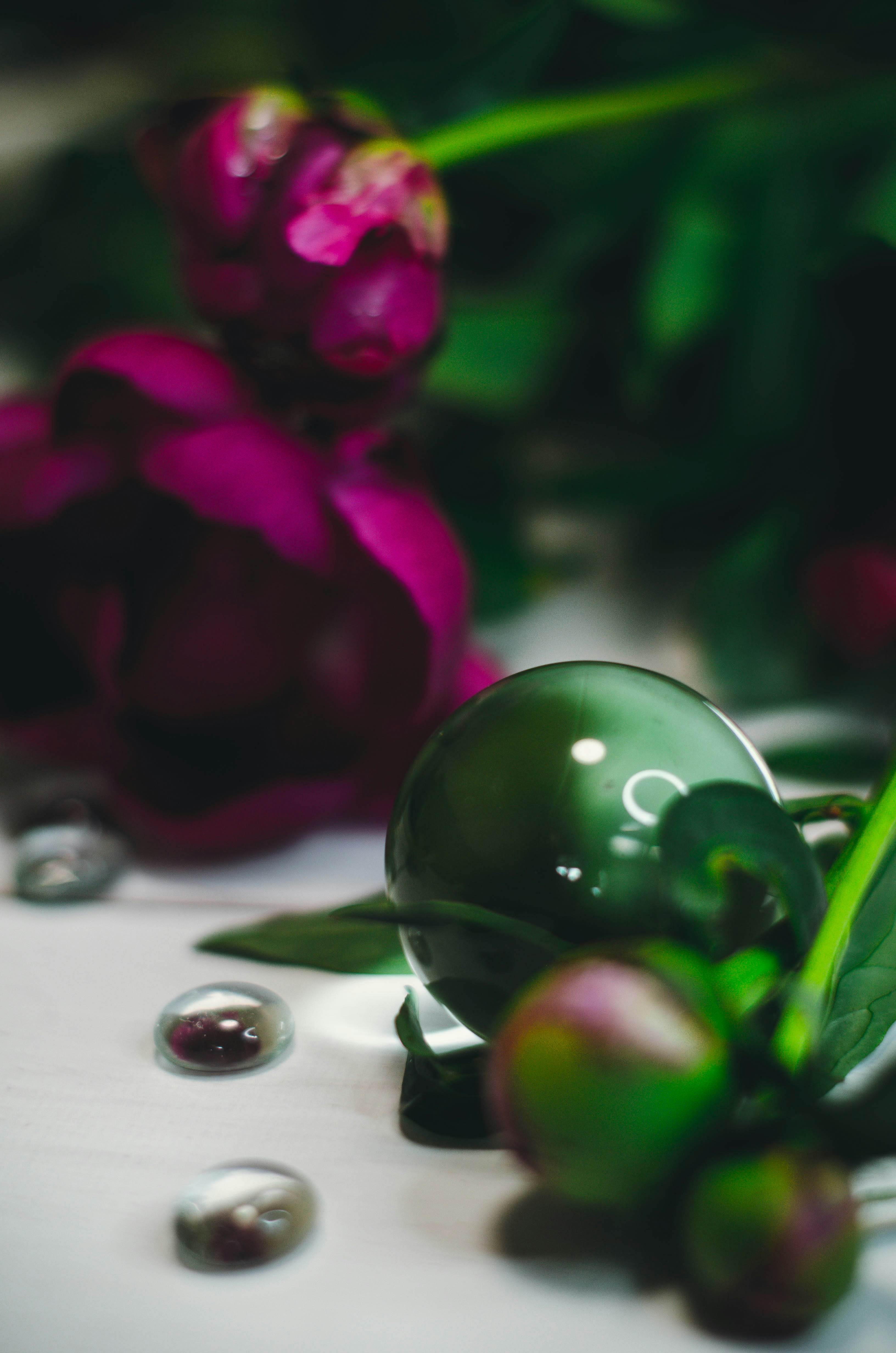 green and purple round fruit
