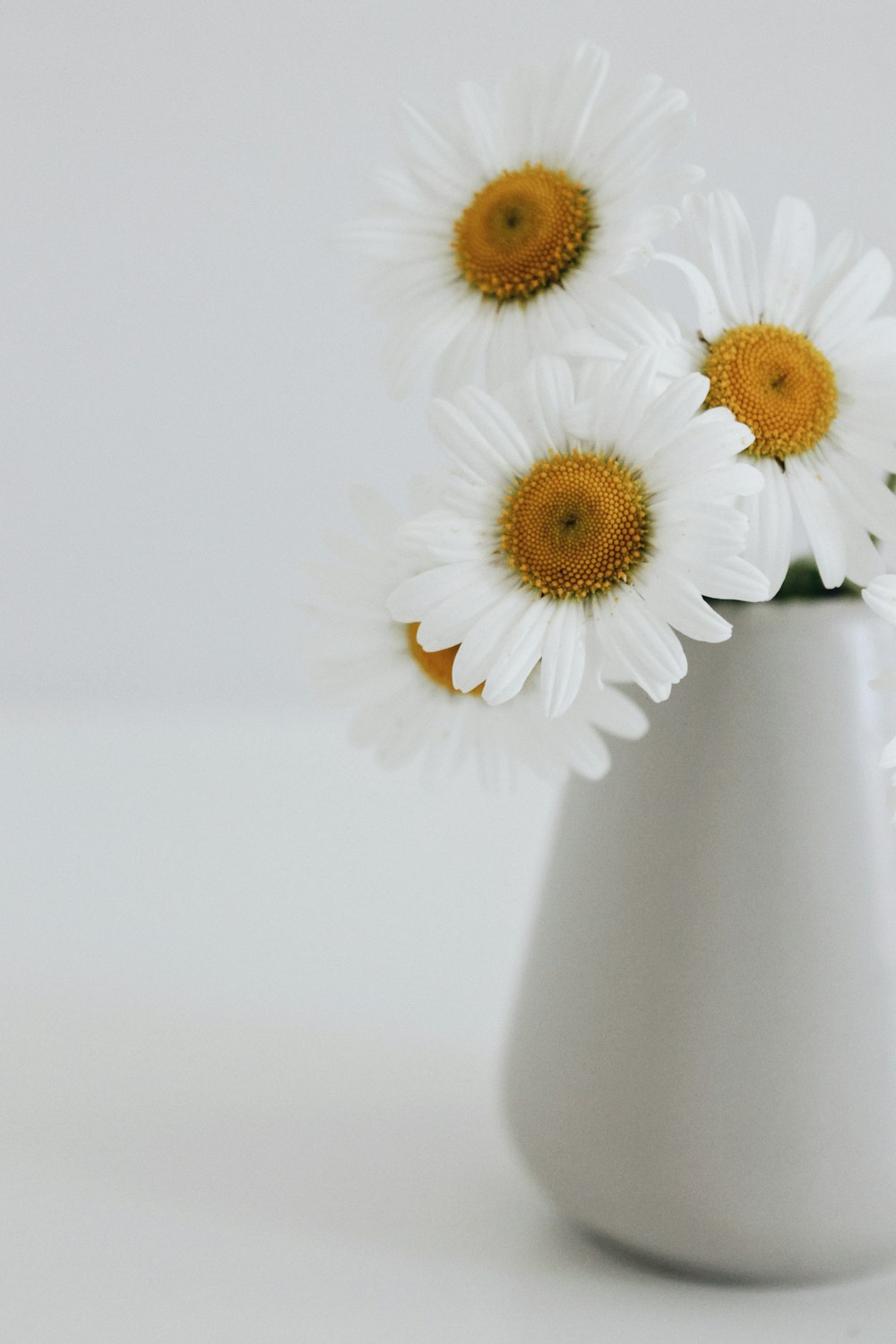 white and yellow daisy flowers in white ceramic vase