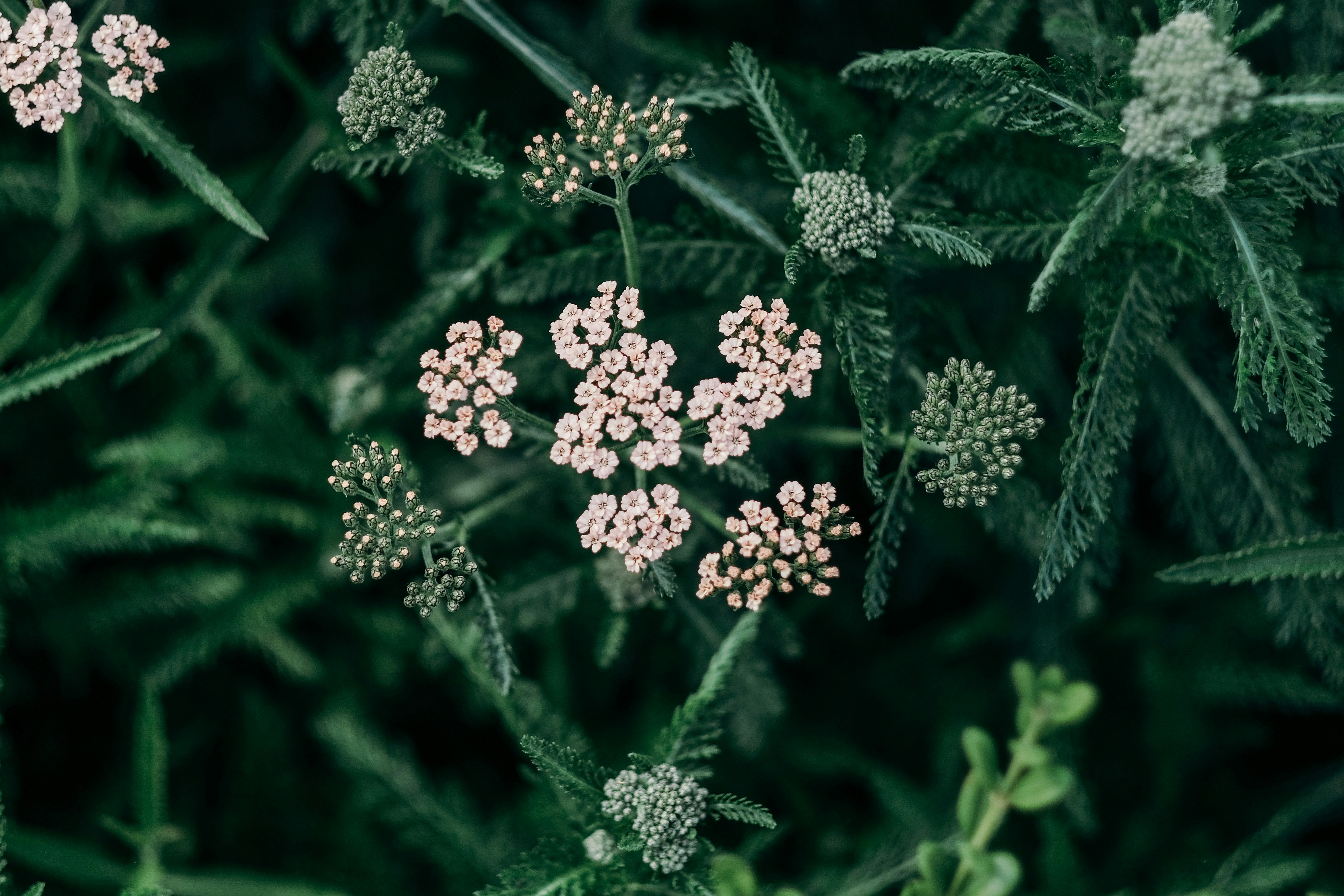 Photo by insungpandora