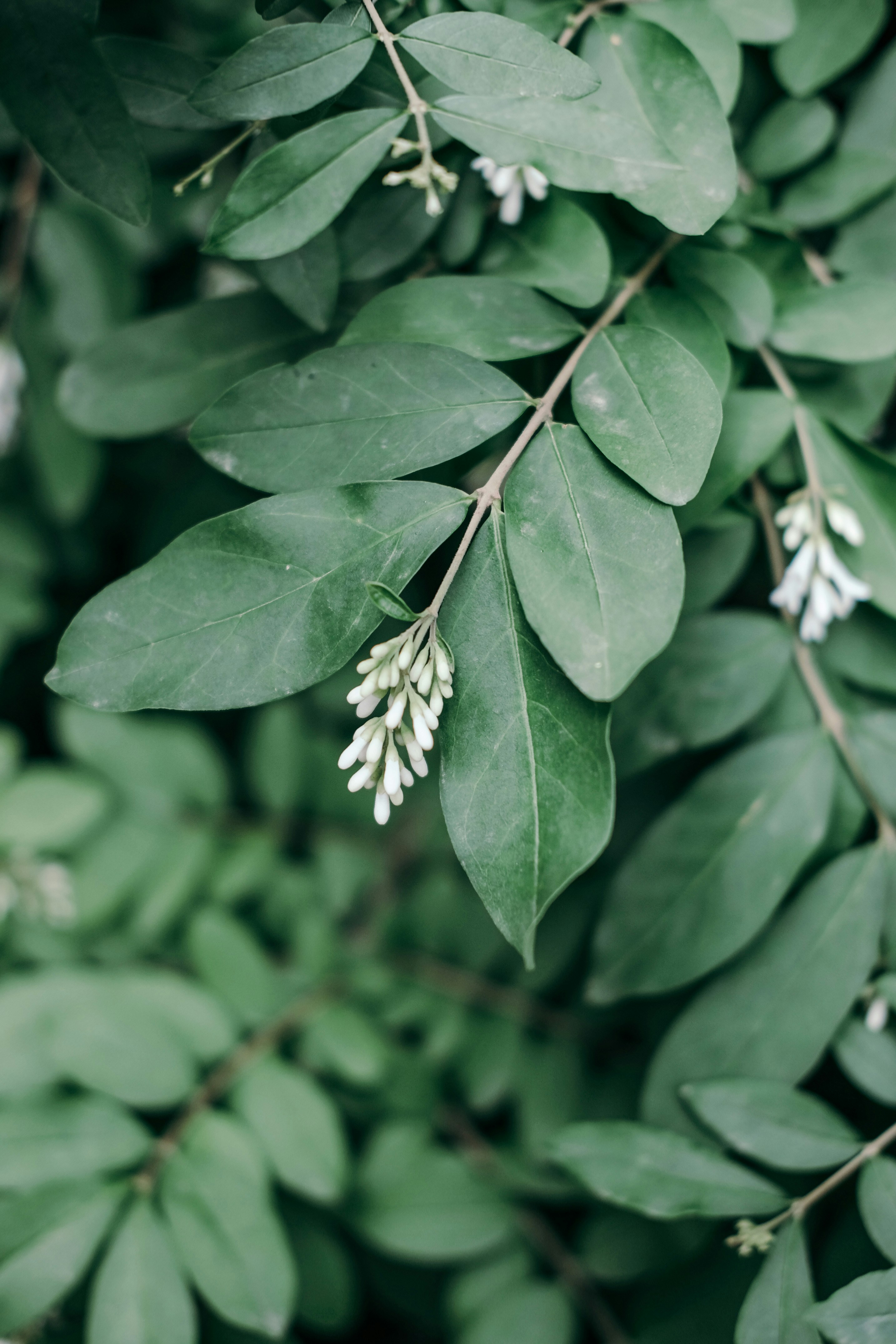 Photo by insungpandora