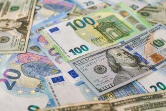 Envía dinero a más de 200 países y territorios en minutos.