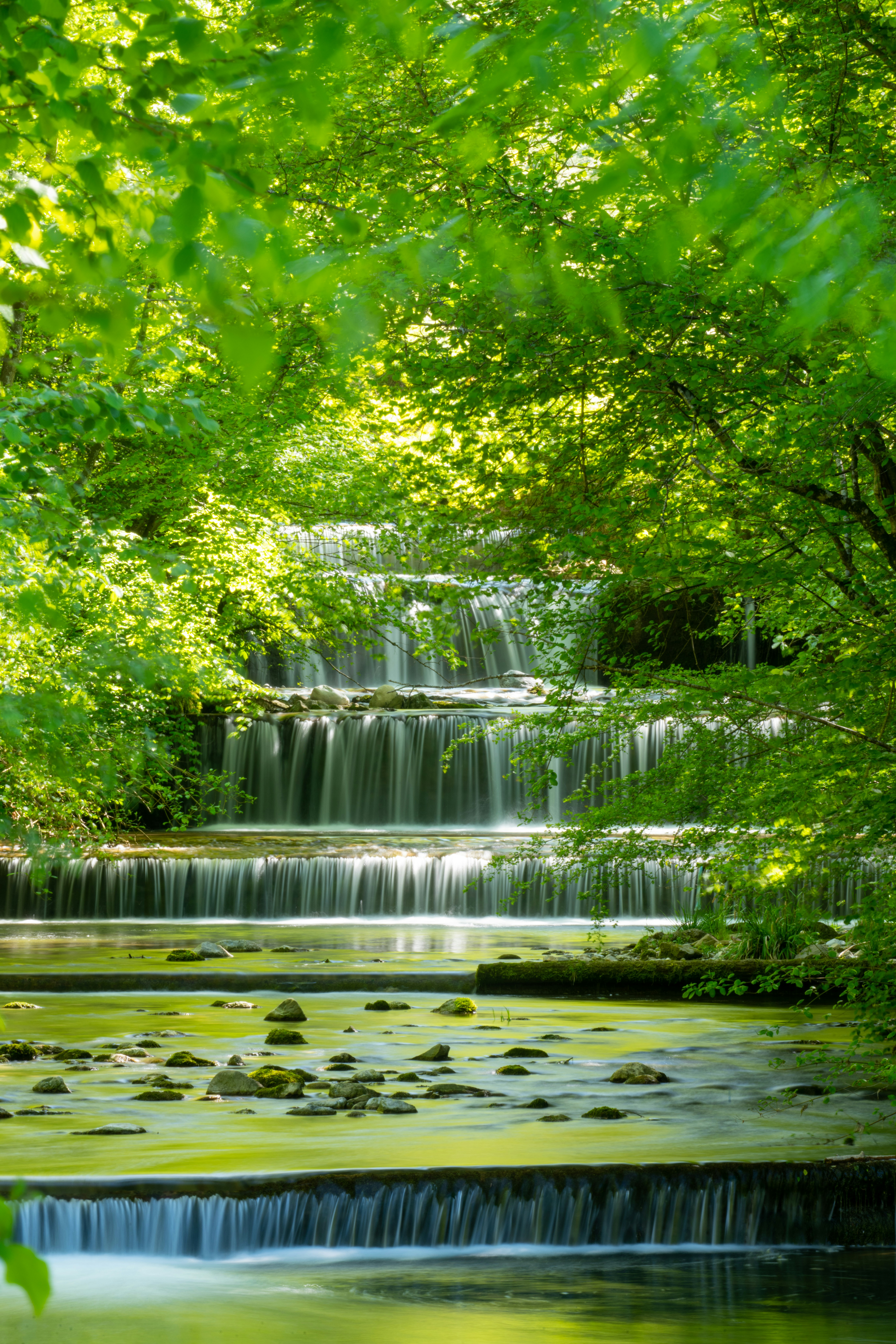 昼間の水域のそばの緑の木々の写真 Unsplashで見つけるschweizの無料写真